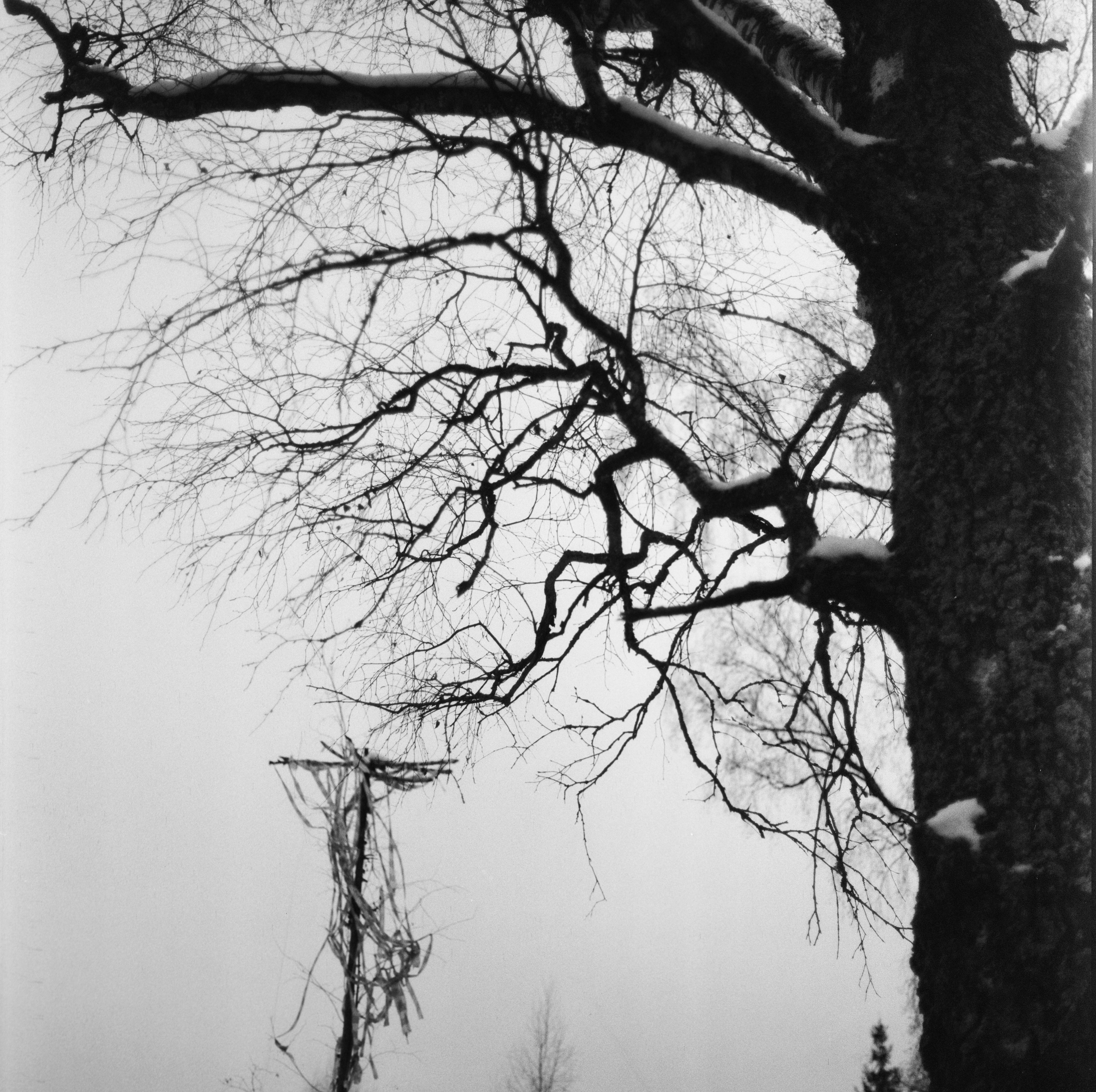 Kowa Super 66 — Kowa 85 mm f/2.8 / SFL Double-X Aerographic 400 (Kodak 2405)