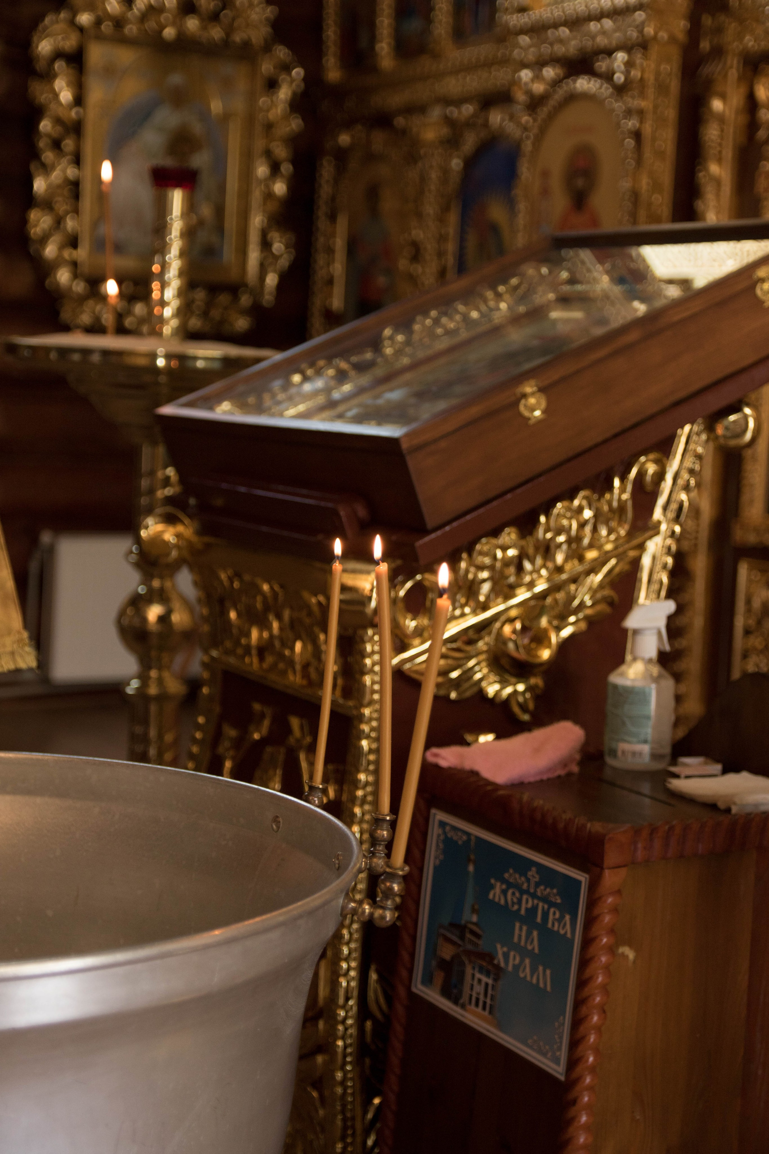 Фотографы. Организатор праздников. Ведущая Марина Гребенникова