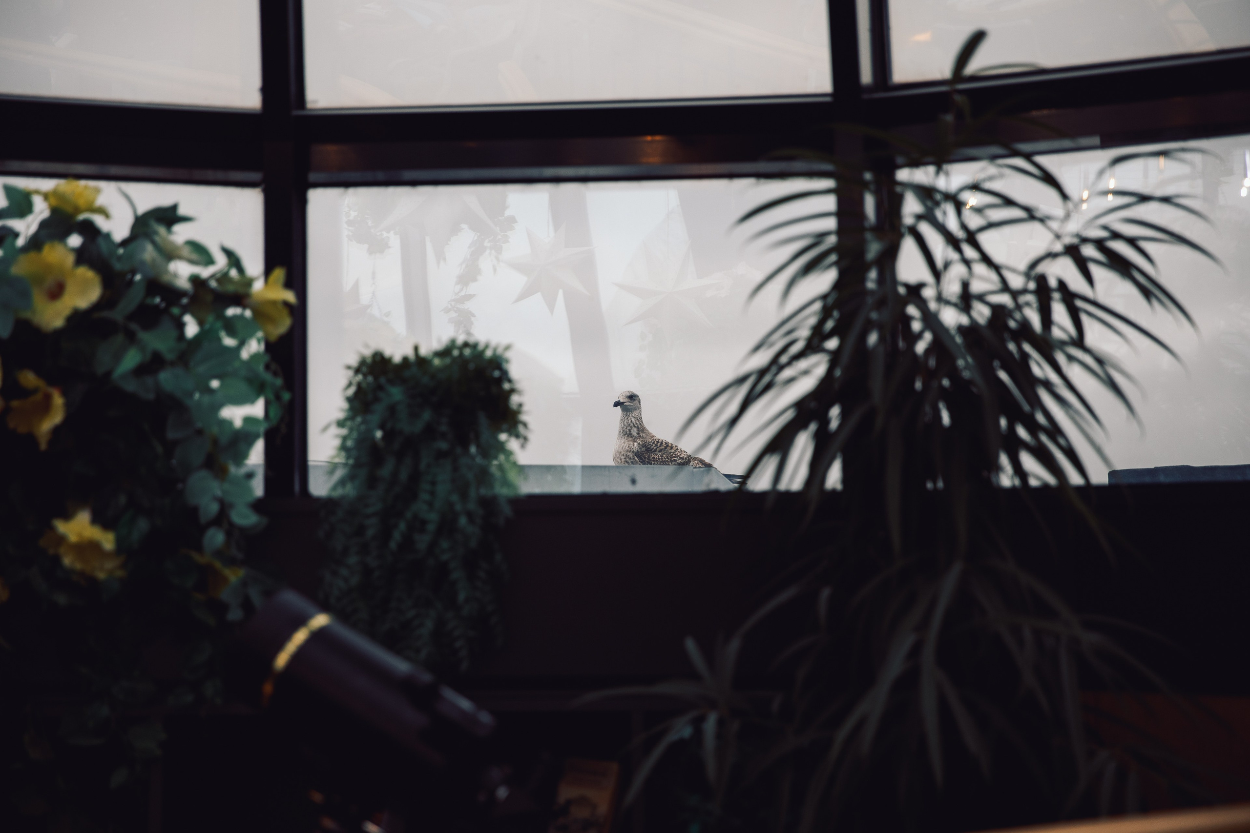 13.11.24 Бьюти-завтрак в цвете. Фотограф в Санкт-Петербурге Алена Сертакова