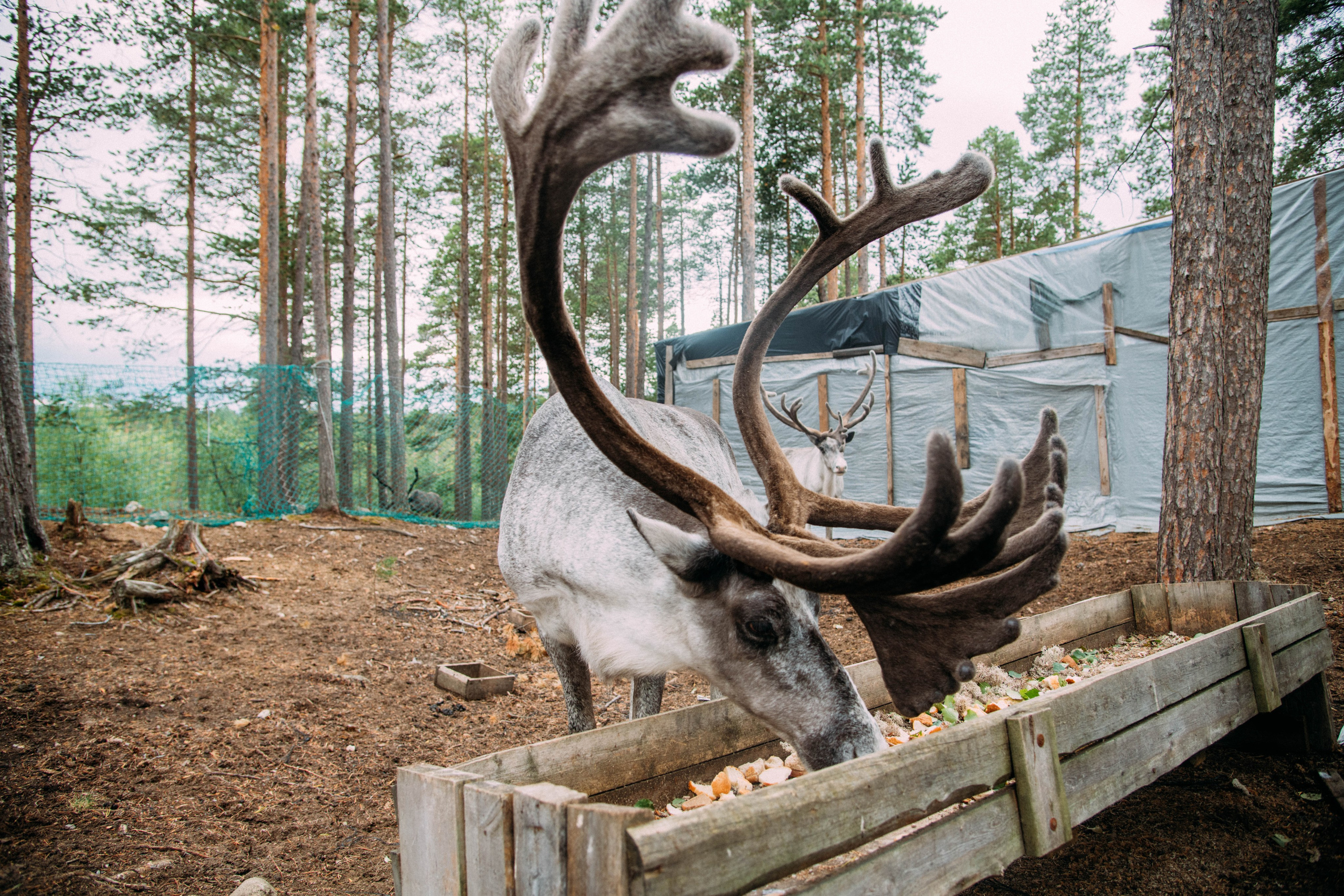 Кольский полуостров. Фотографирую для себя, своей семьи и друзей!