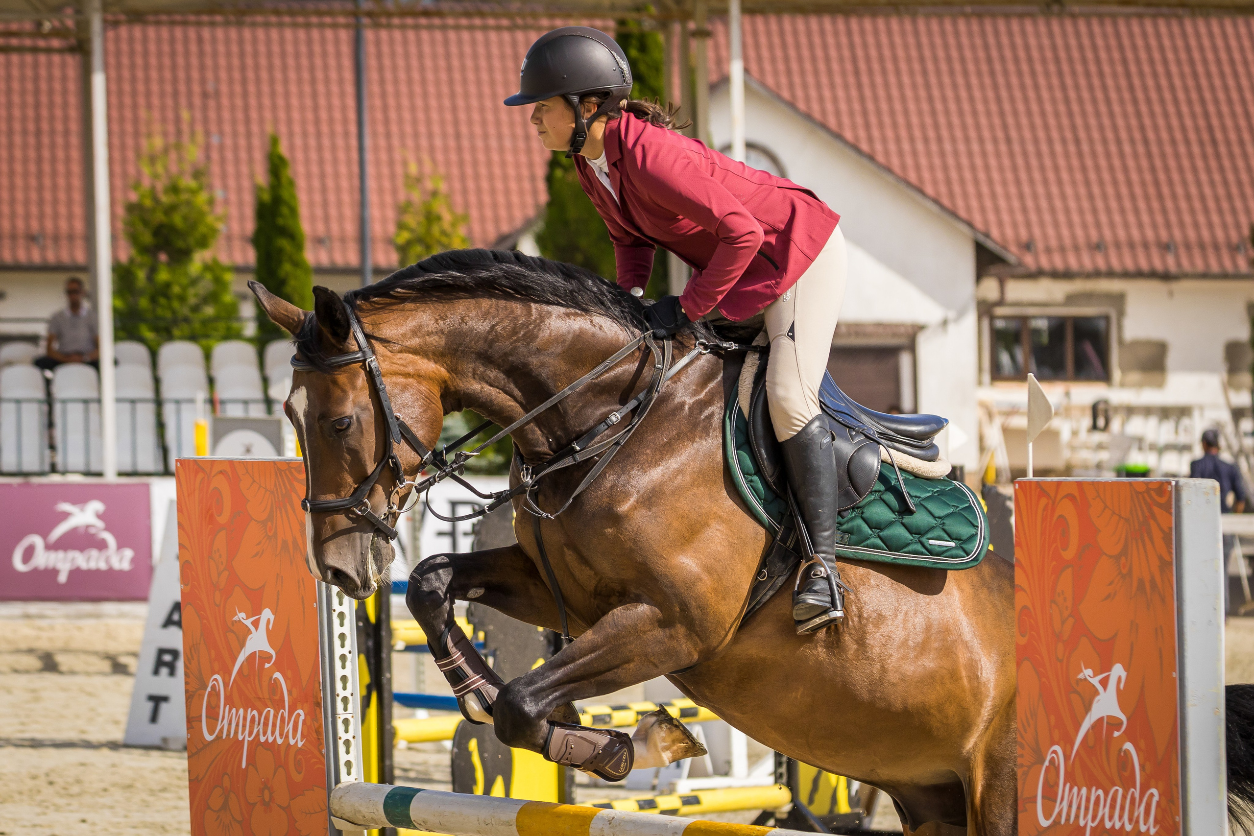 Конный спорт. Photomantis