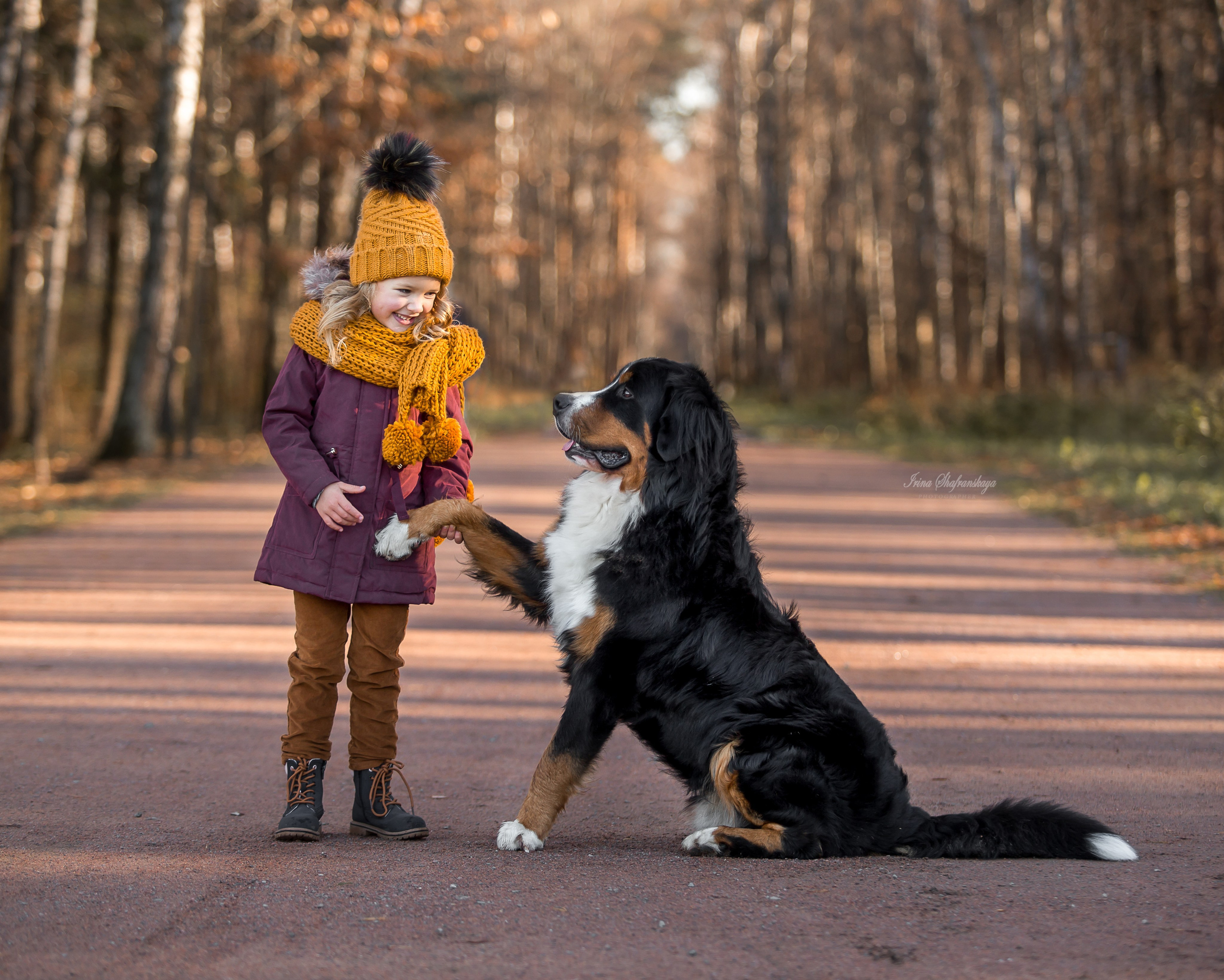 Фотопроект «4 лапки». Репортажный фотограф в Москве