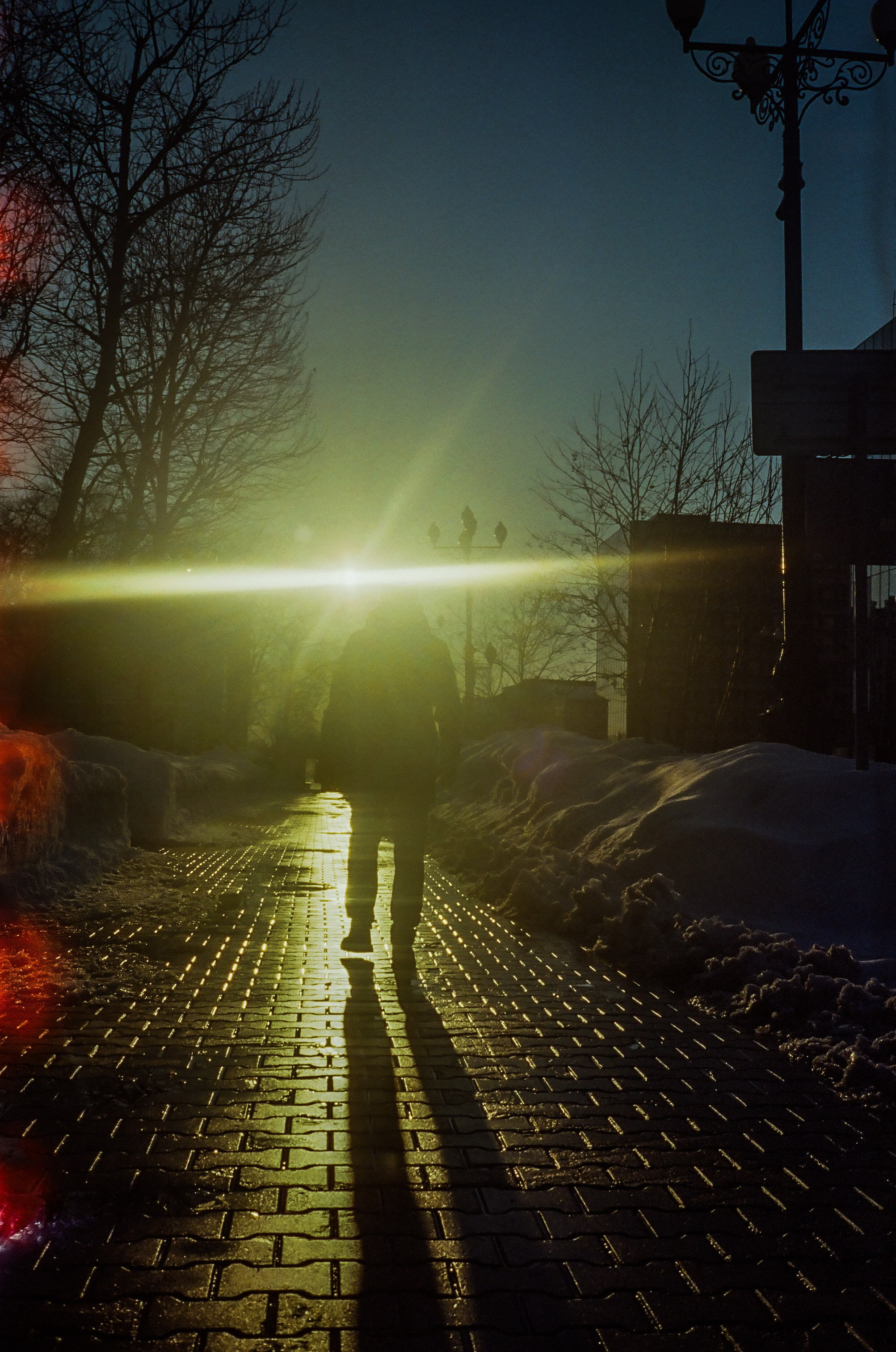 Снято на пленку. Семейный LIFESTYLE фотограф в Москве