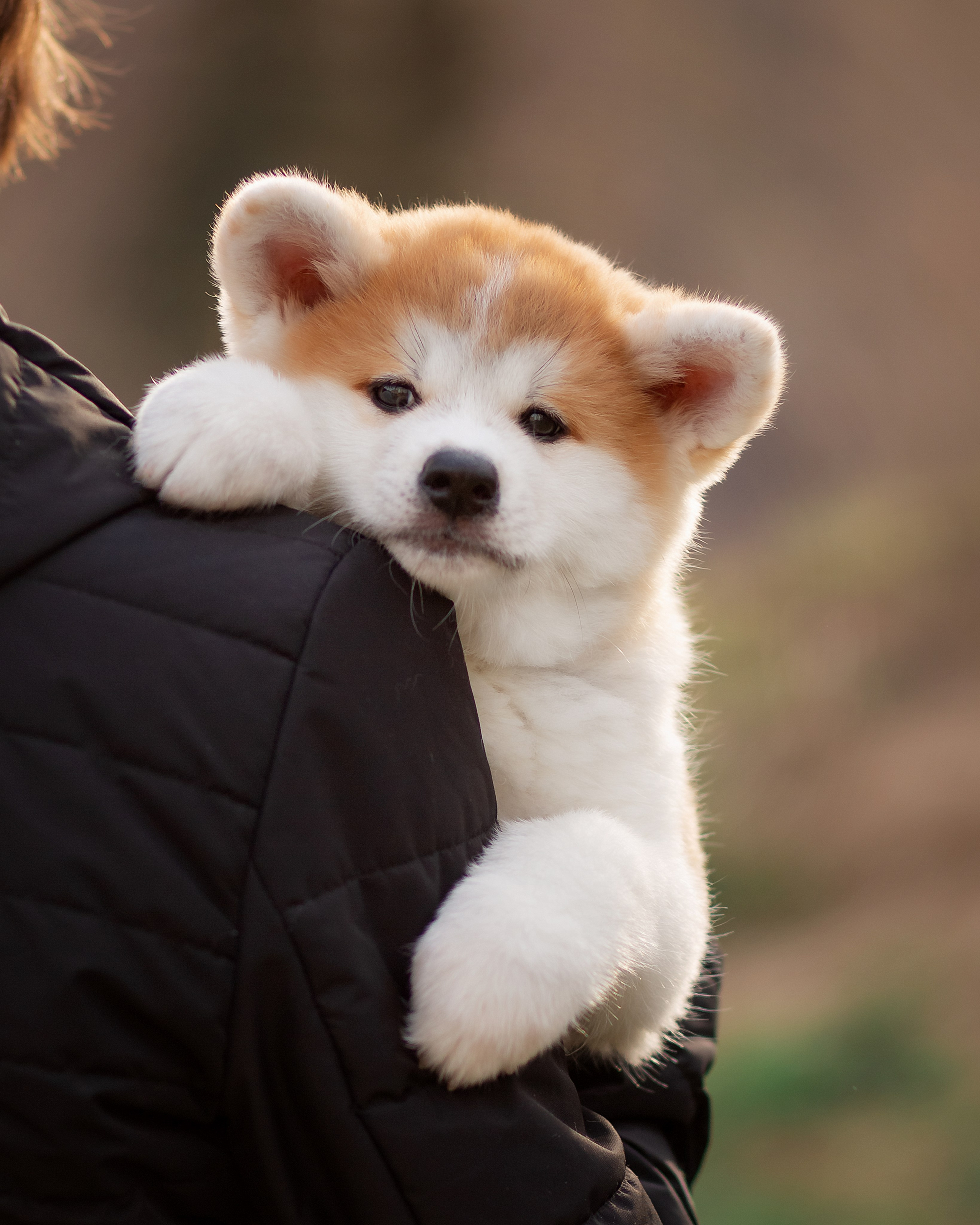 Предыдущие пометы. Алена Попова — фотограф в Хабаровске