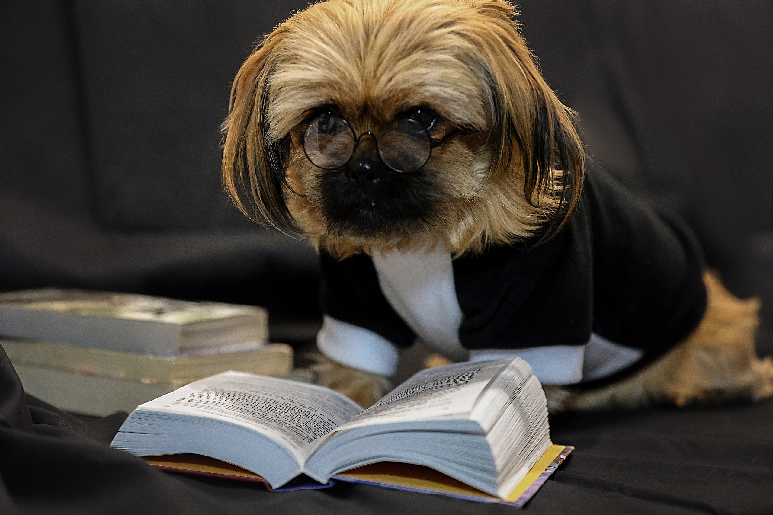 В СТУДИИ. Фотограф-АниМалист Анна Абрамова