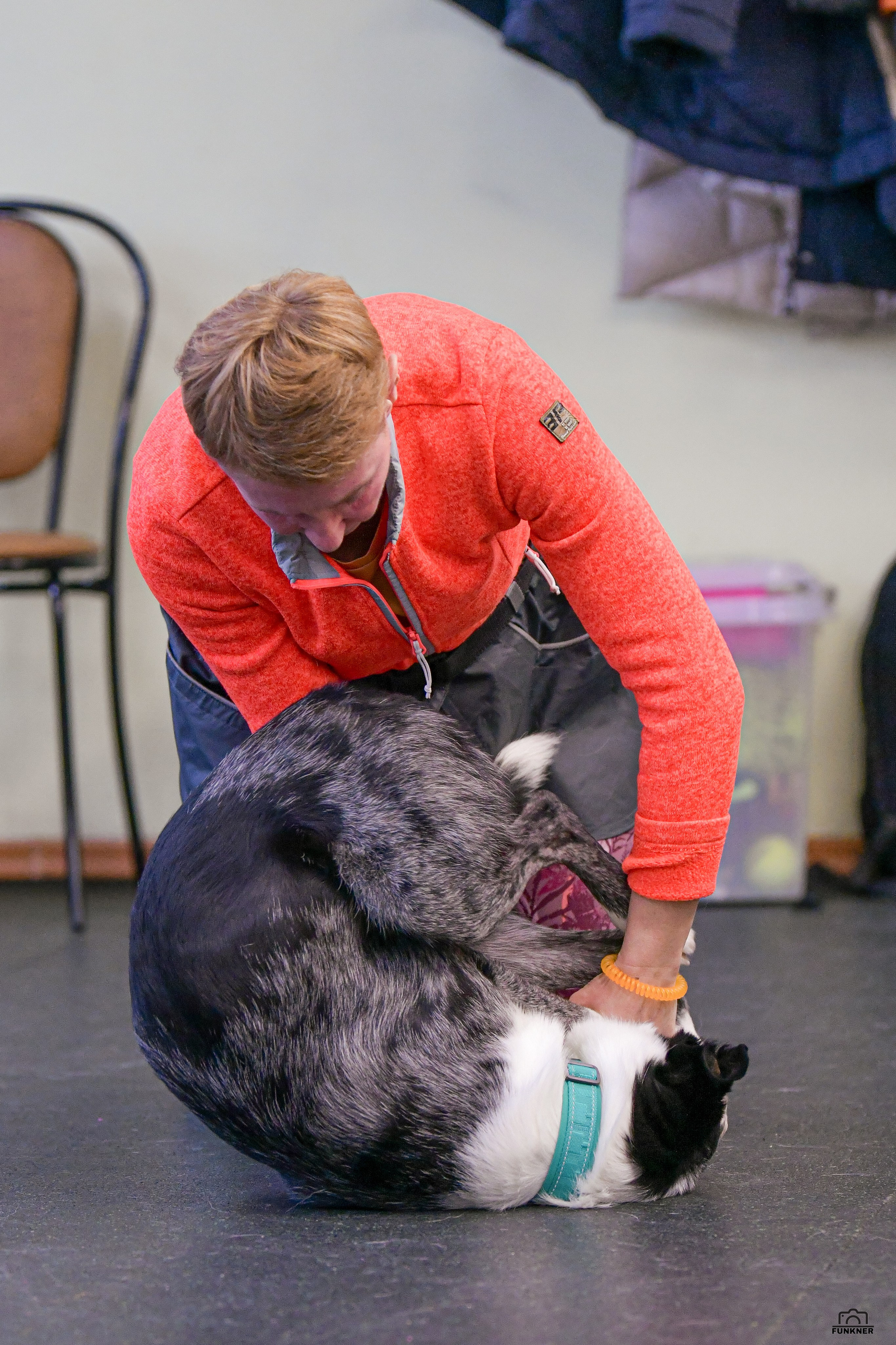 Кинологический клуб «Бодрый хвост». Свой взгляд через объектив