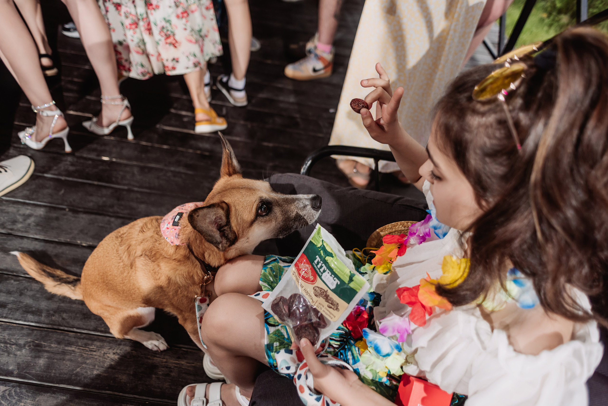 Anton & Yulia. ФОТОГРАФ ИРИНА ШАМАТАВА
