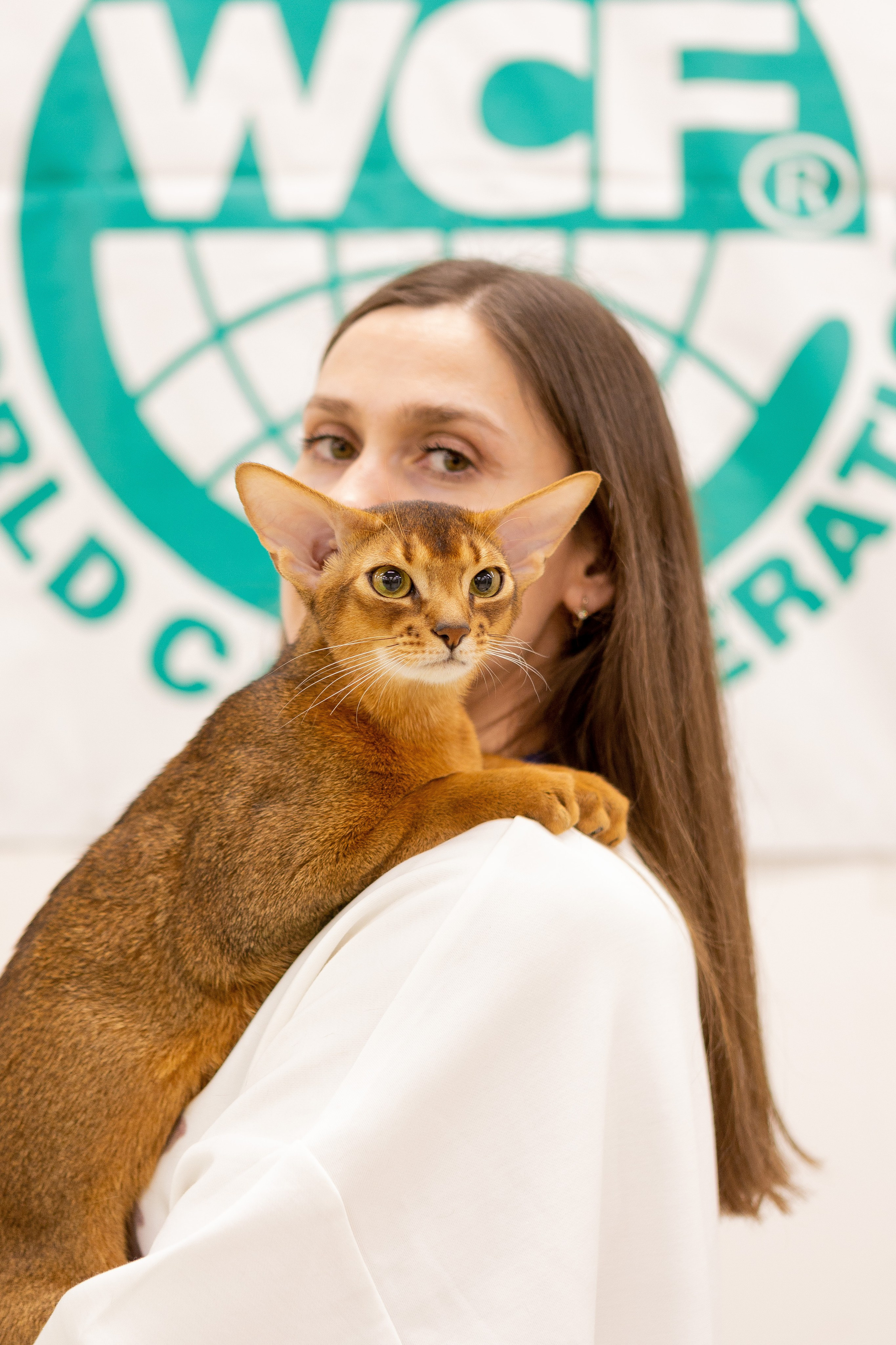 Кошки. Фотограф Яна Матвеева в Ижевске