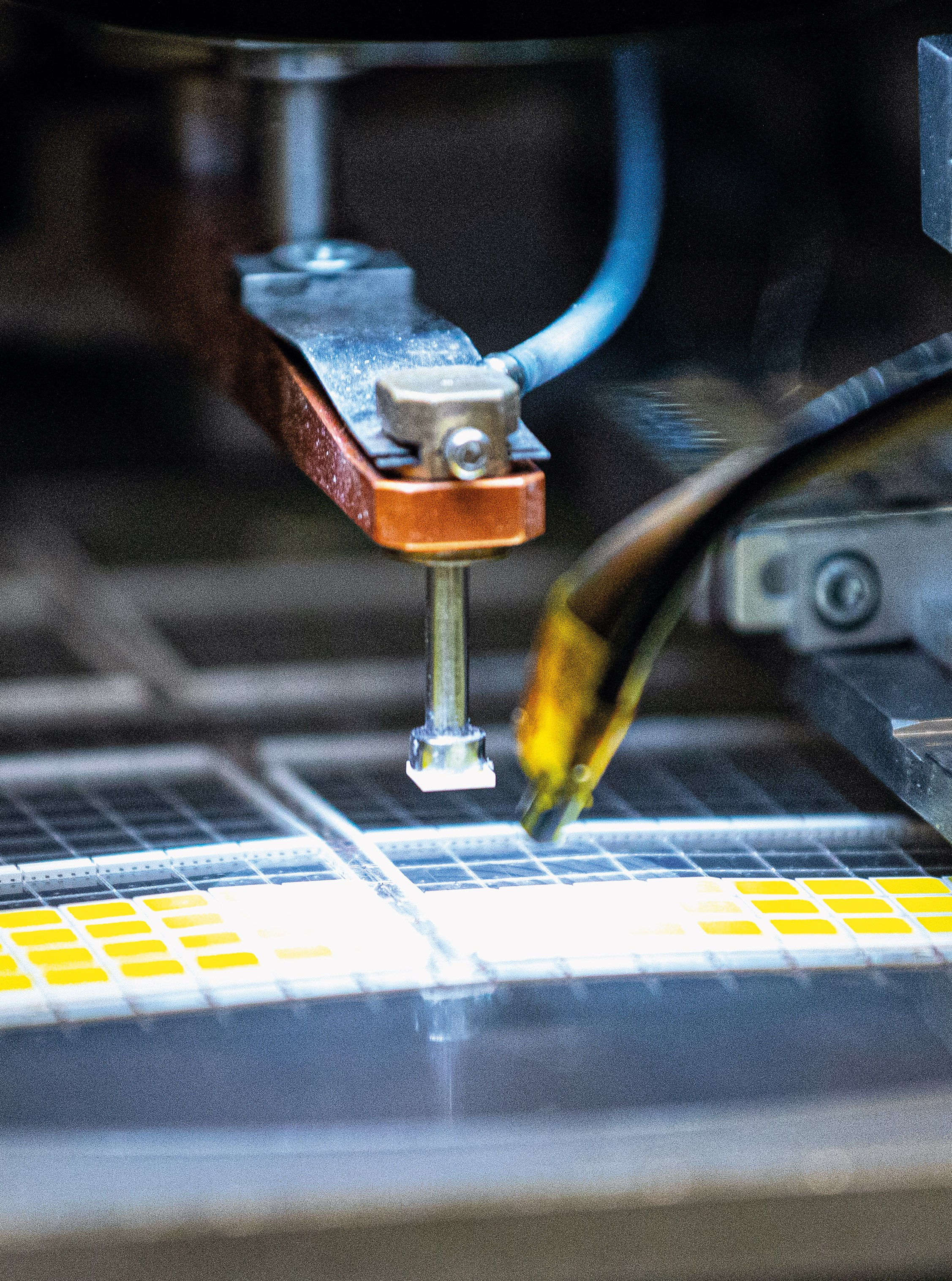 Фотограф в Москве Татьяна Кузнецова