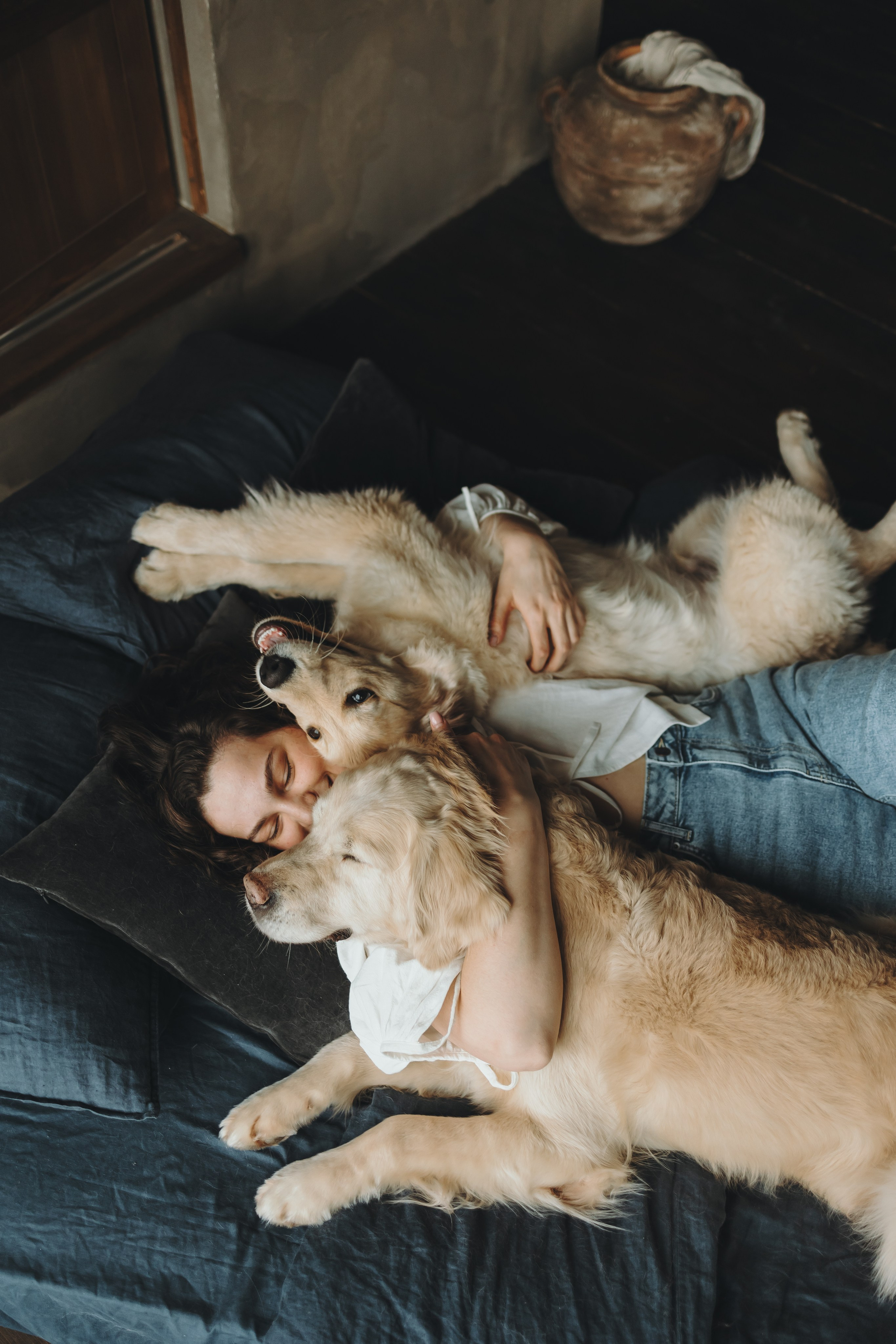 Настя, Арчи и Арагон. Фотограф-анималист в Санкт-Петербурге Алина Яхонт