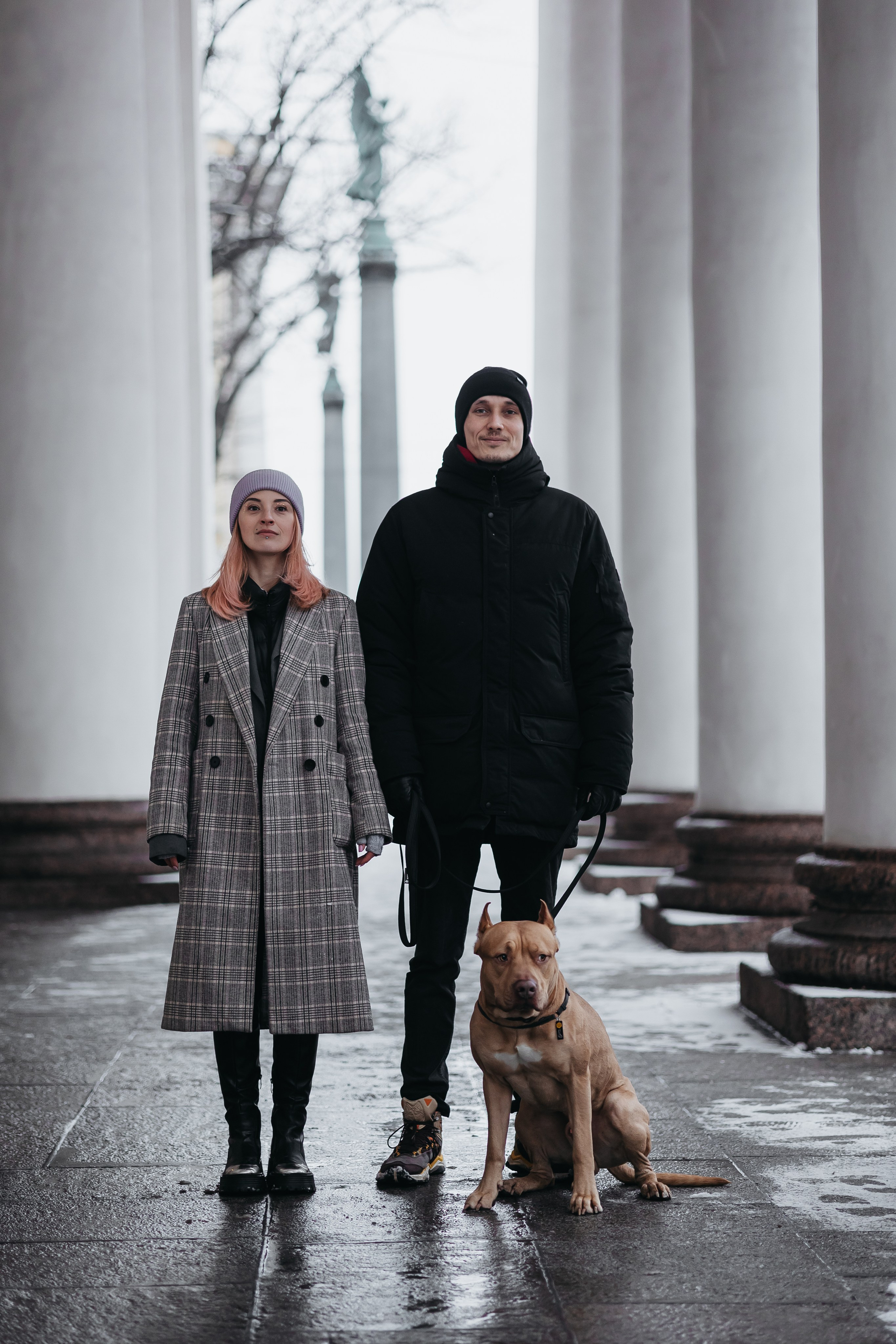 Саша, Света и Ицар. Фотограф-анималист в Санкт-Петербурге Алина Яхонт