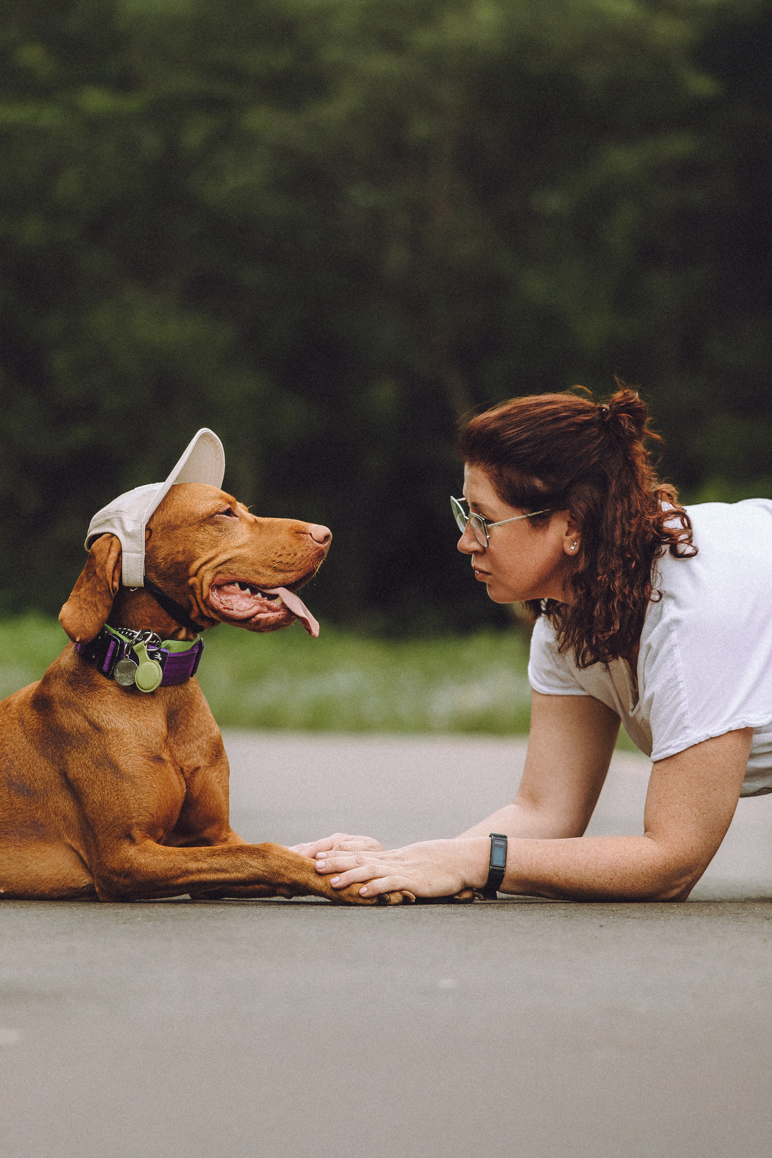 Груша, Данни, Фунтик и их семья