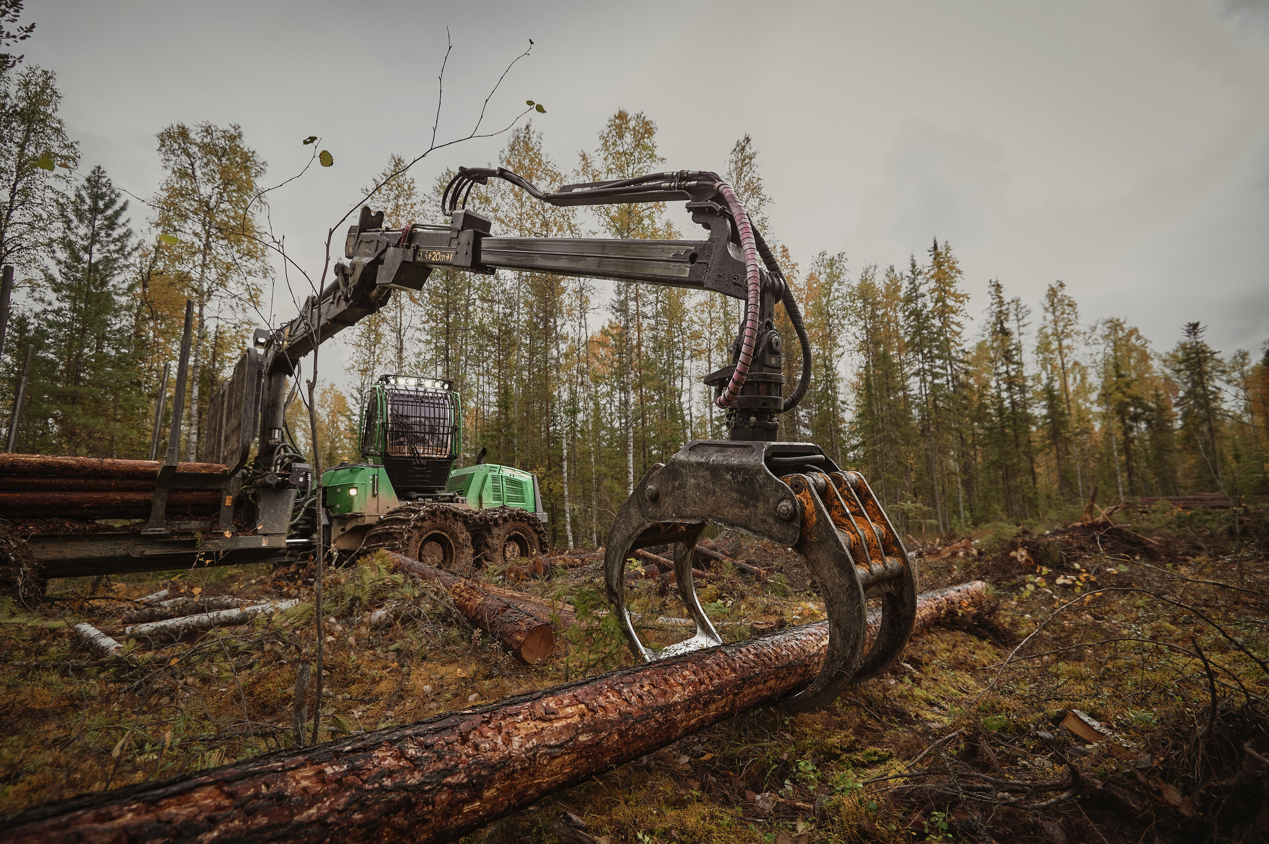 Лесозаготовка г. Мотыгино. Фотограф Яковлев Роман — Красноярск