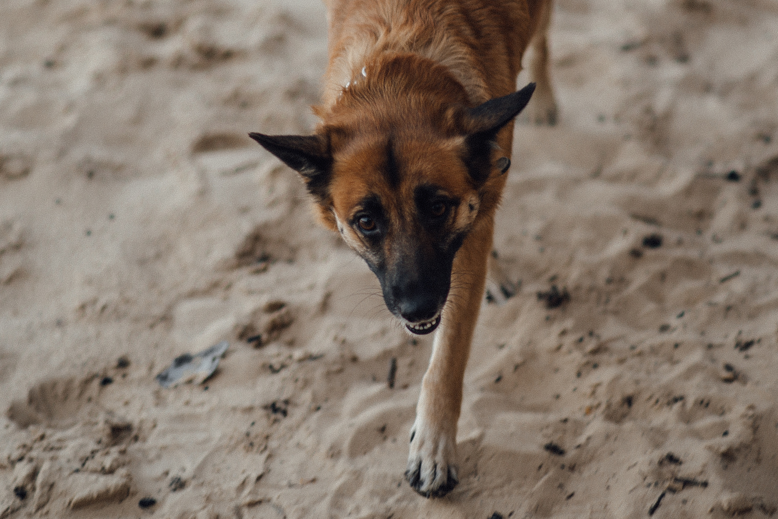 Егор и Юля. Детский и семейный фотограф Катерина Мишина