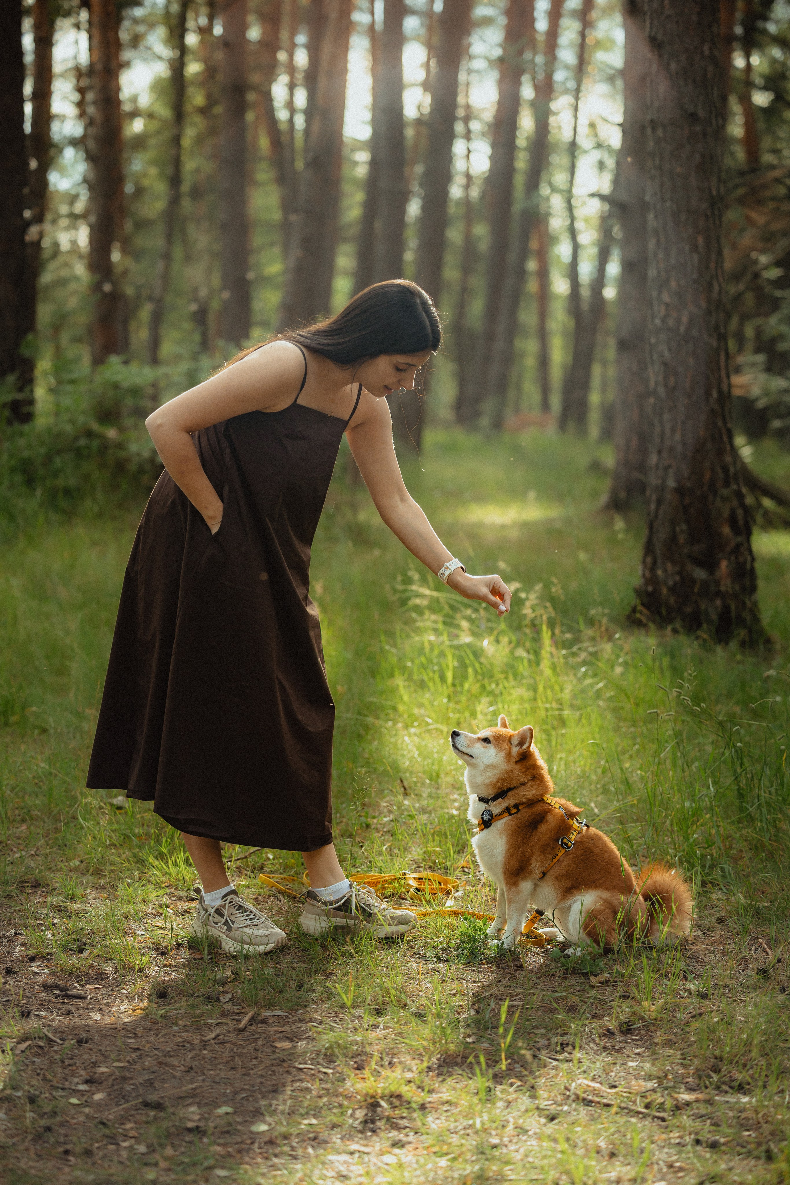 Выездной дог-тренинг от школы «Шерсть имею»