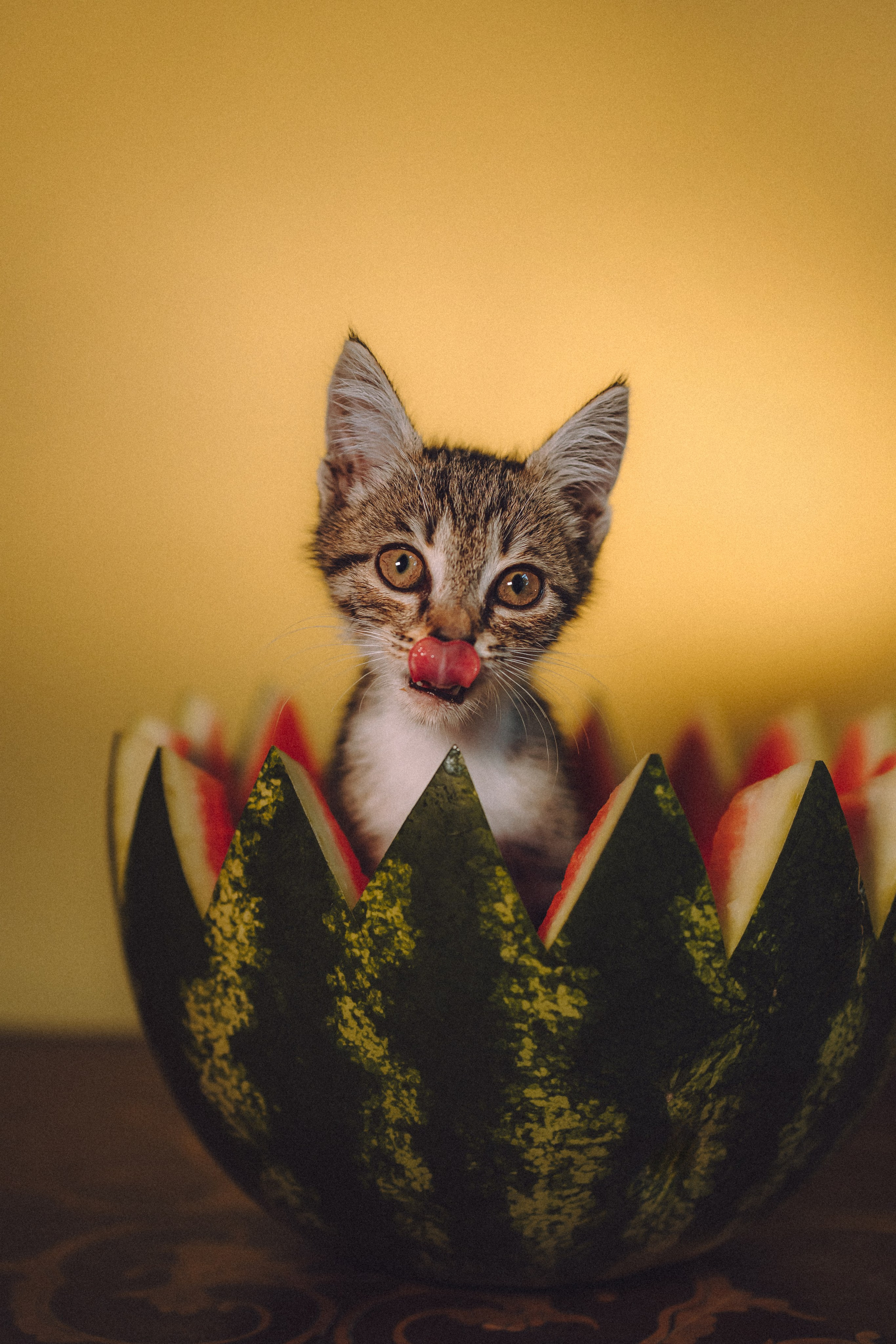 Сирена и арбуз