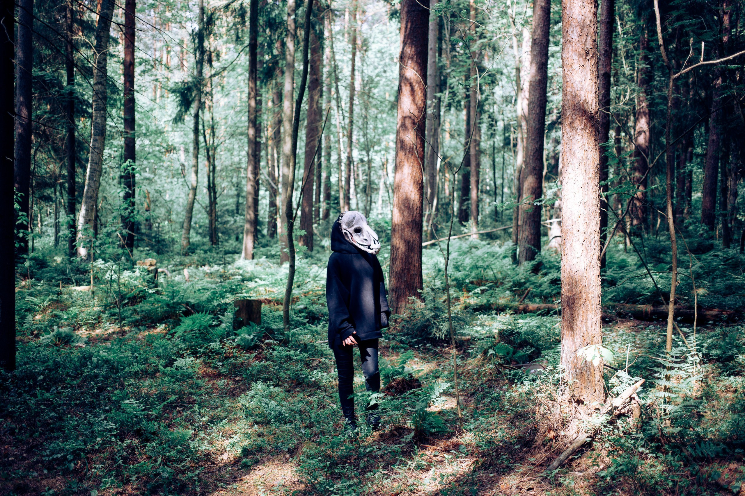 Запретный лес. Репортажный фотограф Анастасия Головко