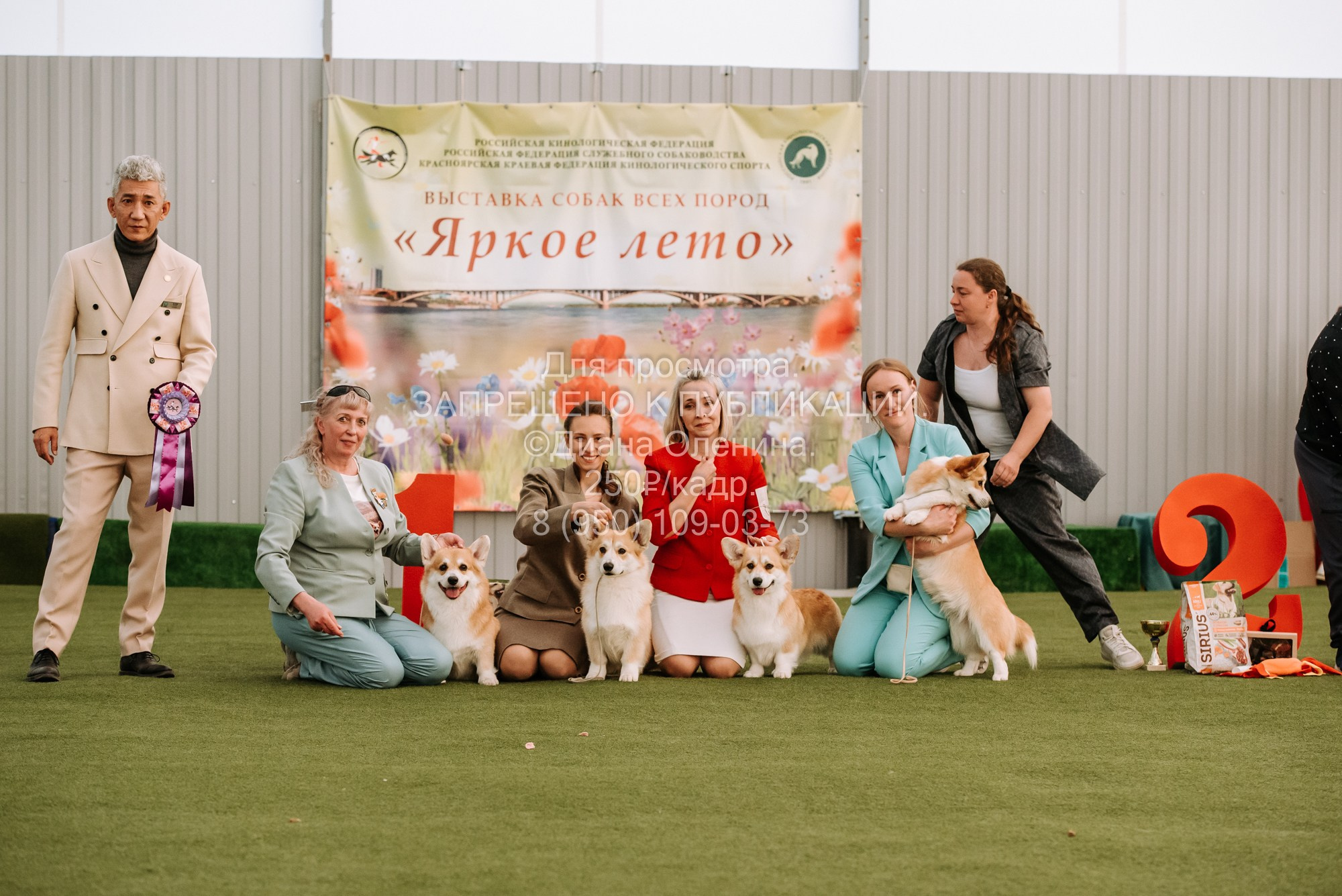Выставка собак Красноярск 2.06. Фотограф Диана Оленина Красноярск / Братск