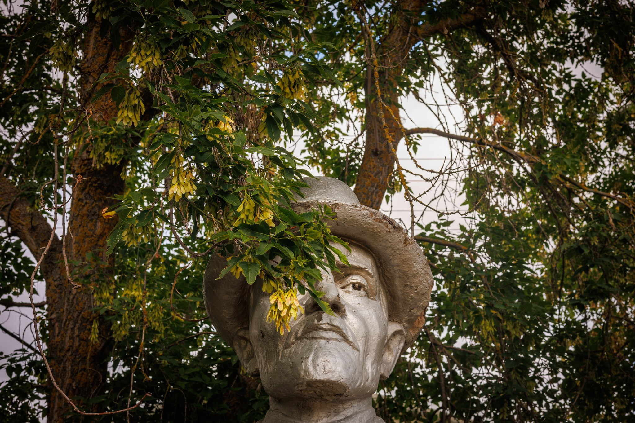 Город. Марк Григорьев