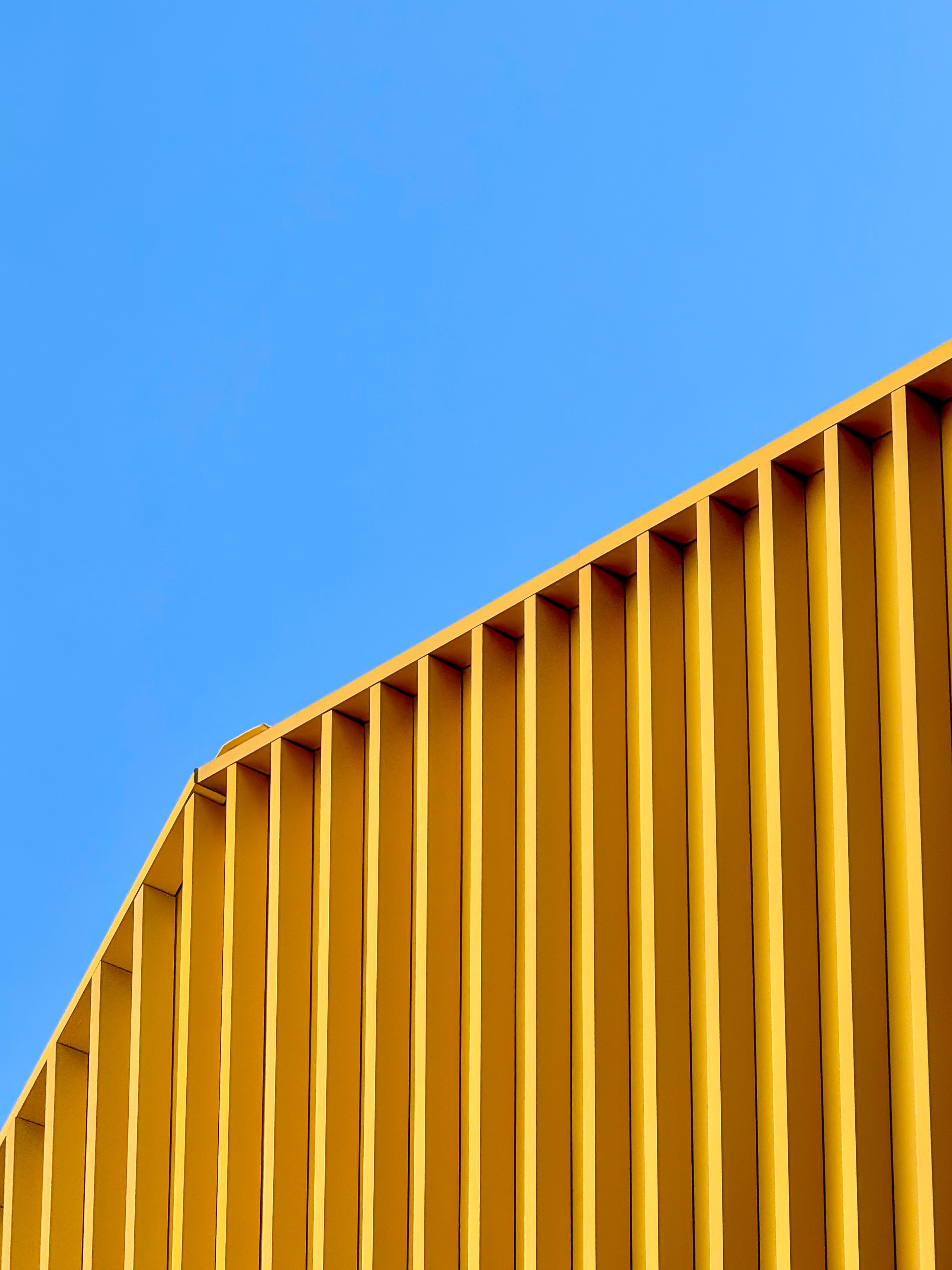 Живет художник. Arseniy Karchevskiy I Photographer