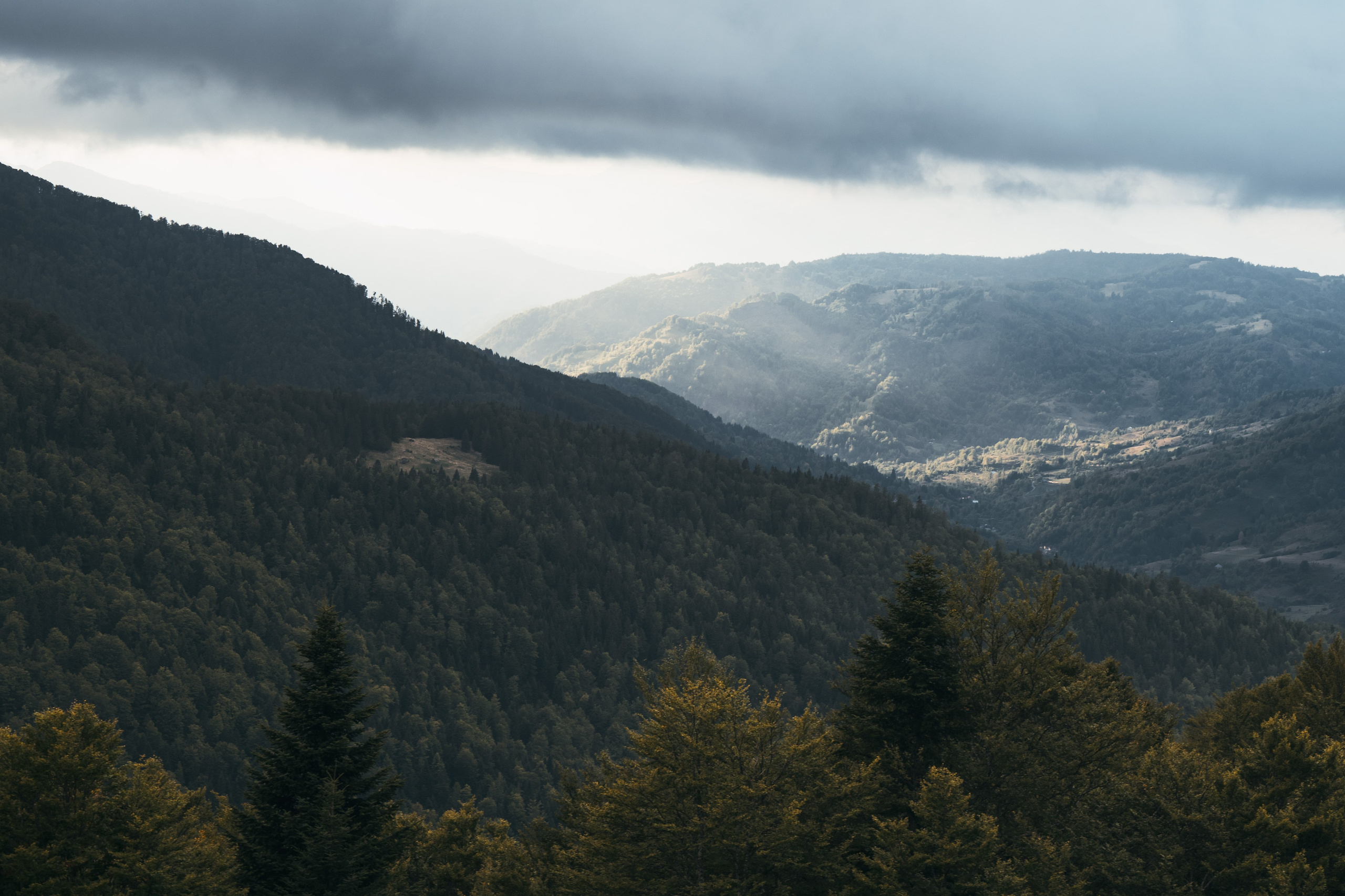 ГОРЫ КОМОВИ. ЧЕРНОГОРИЯ. Фотограф в Белграде Чугреева Елена