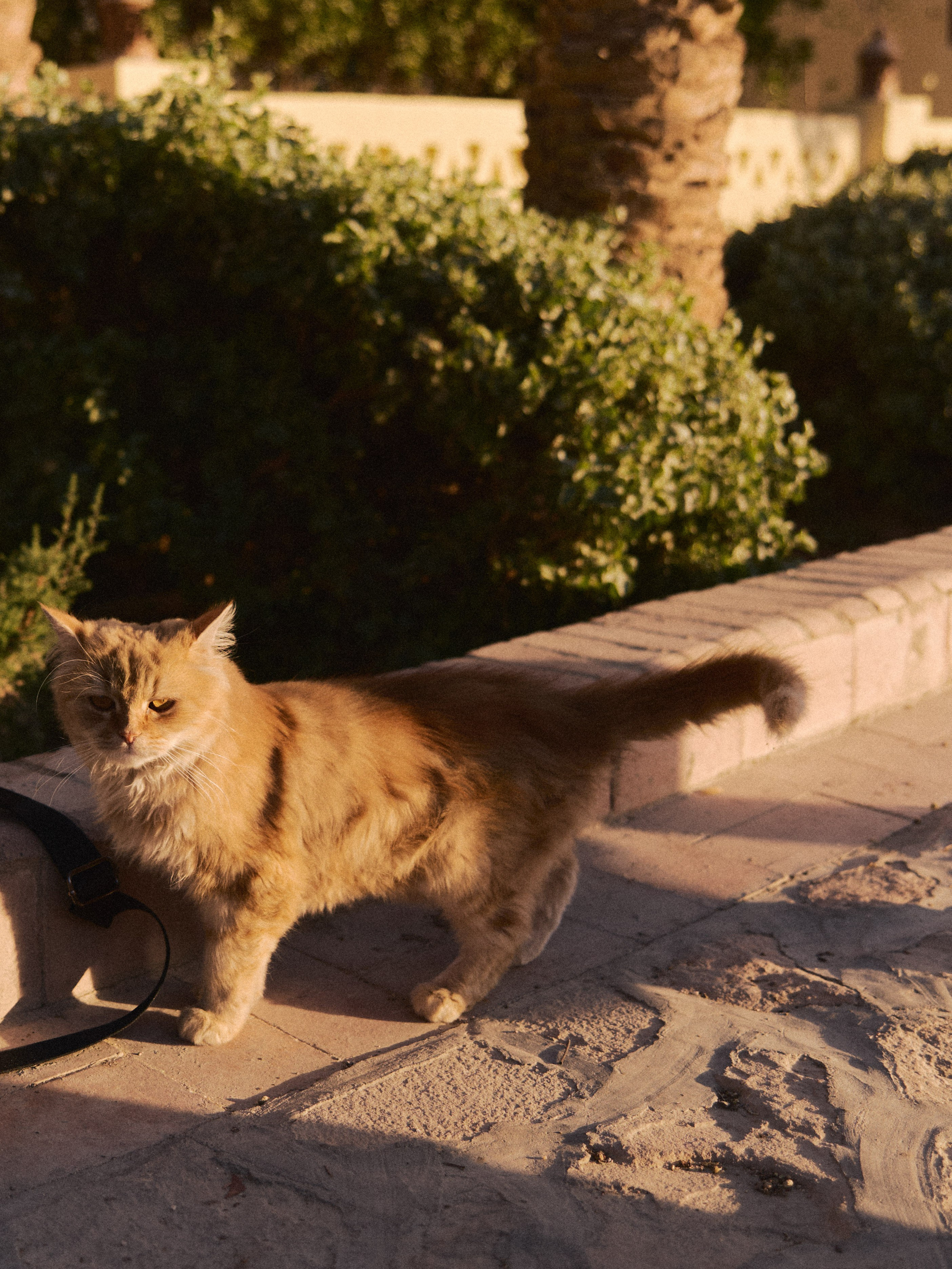 Другое 2. Jorgis Talè — photographer, kind person, teacher of arts and other mag