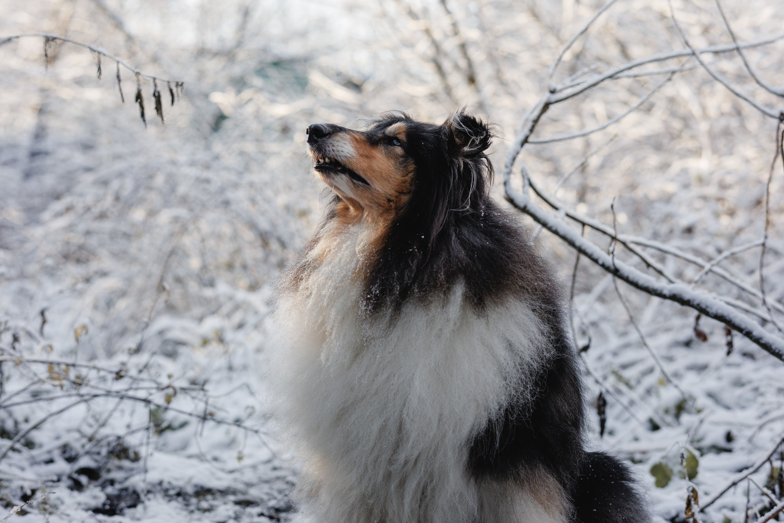 Дарья и Зора. Фотограф в Санкт-Петербурге Алёна Губинская