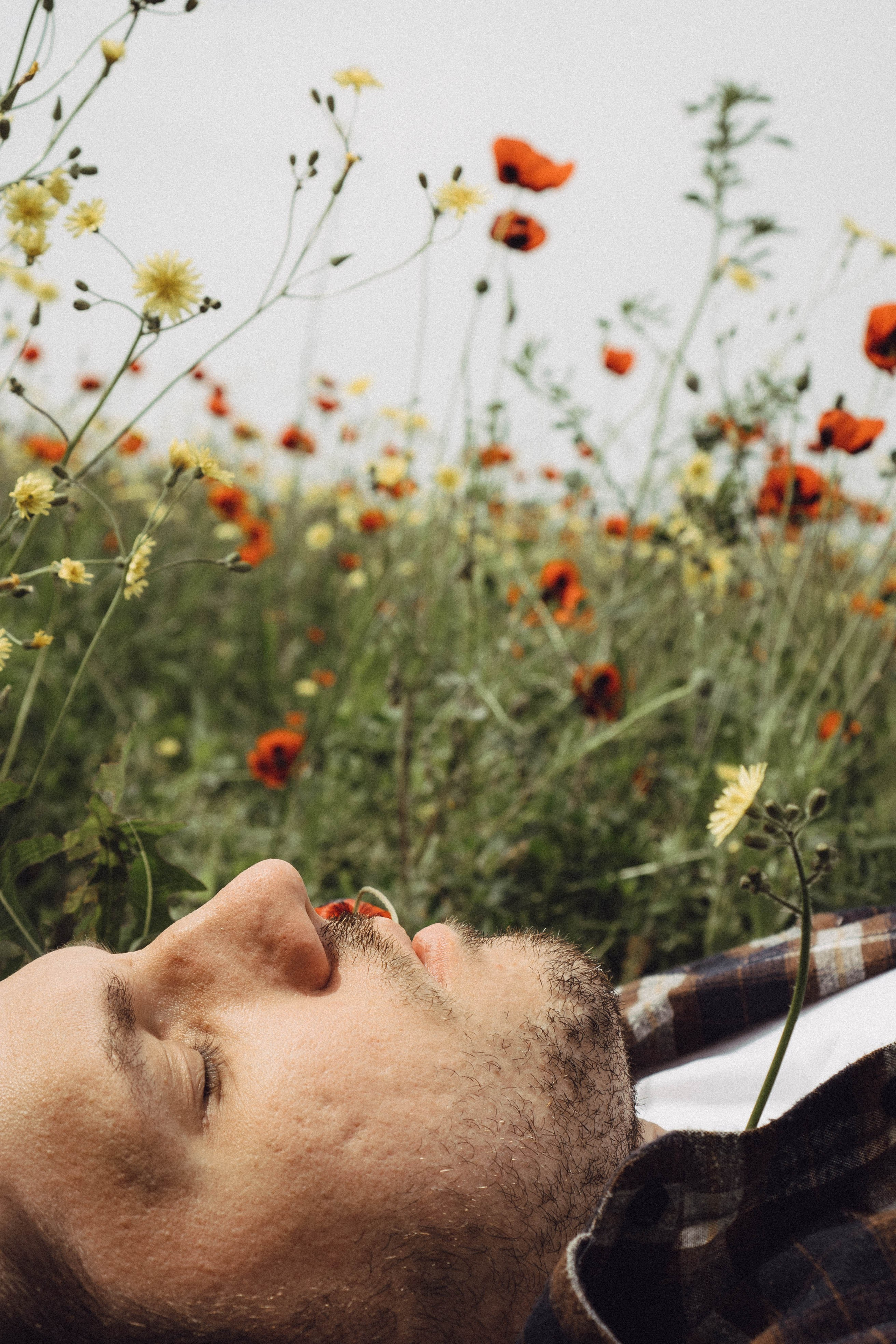 Маки. Профессиональный фотограф, Санкт-Петербург — Виктория Богомолова