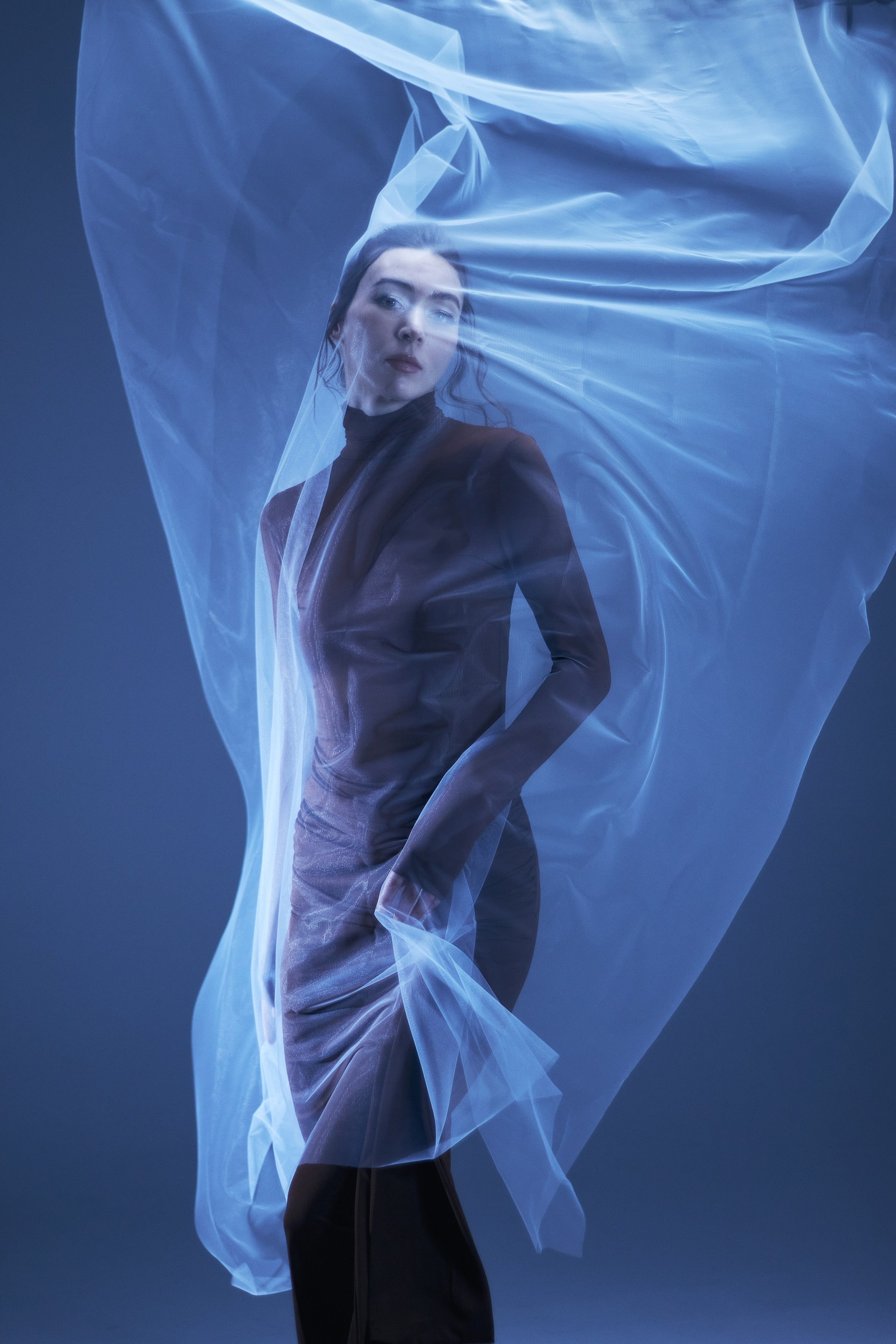 Юлия. Фотограф анималист — Тула, Москва