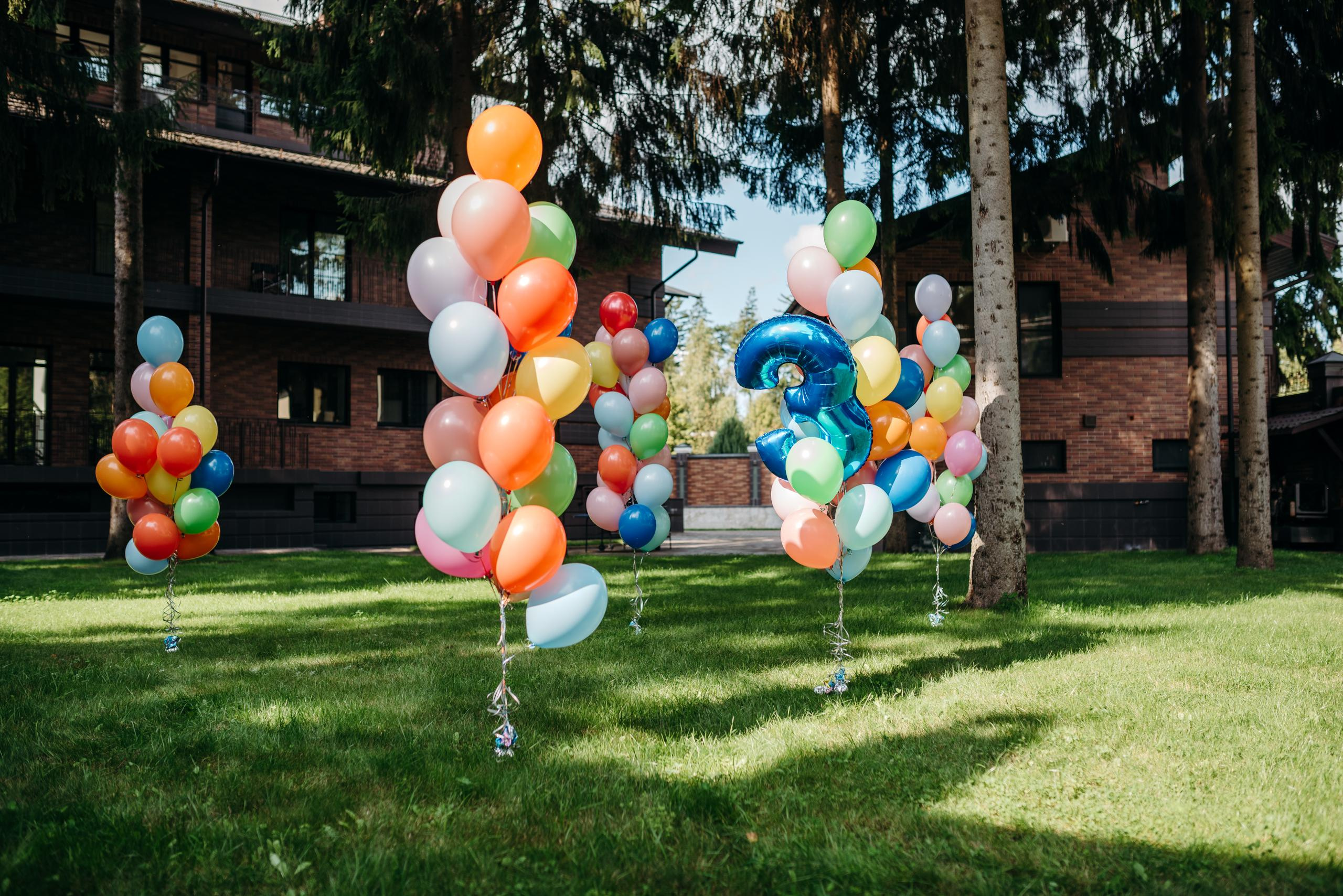 День Рождения Лука 3 года. Фотограф в Москве Илья Максимов