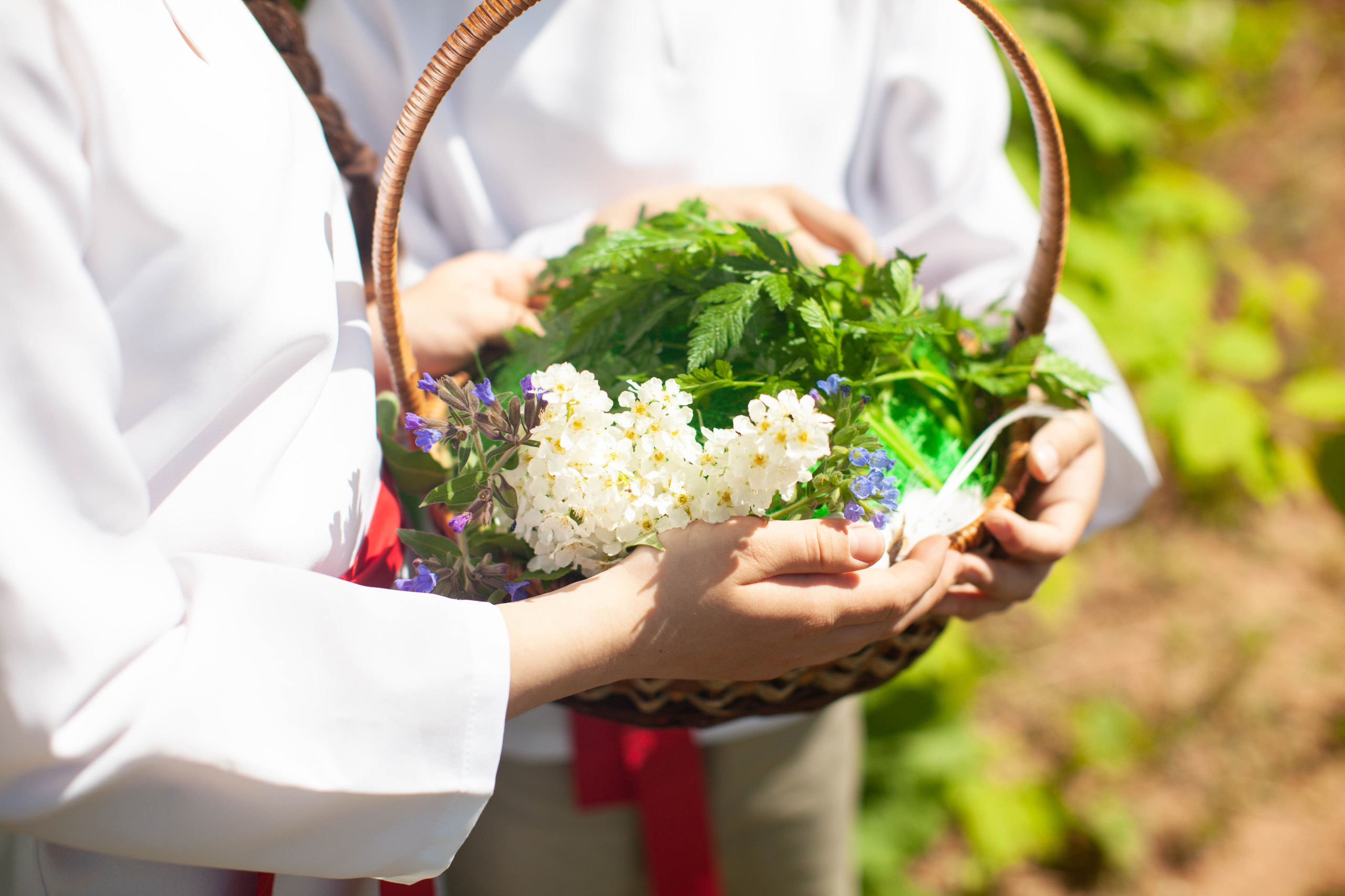 Летний день. Art my Pho