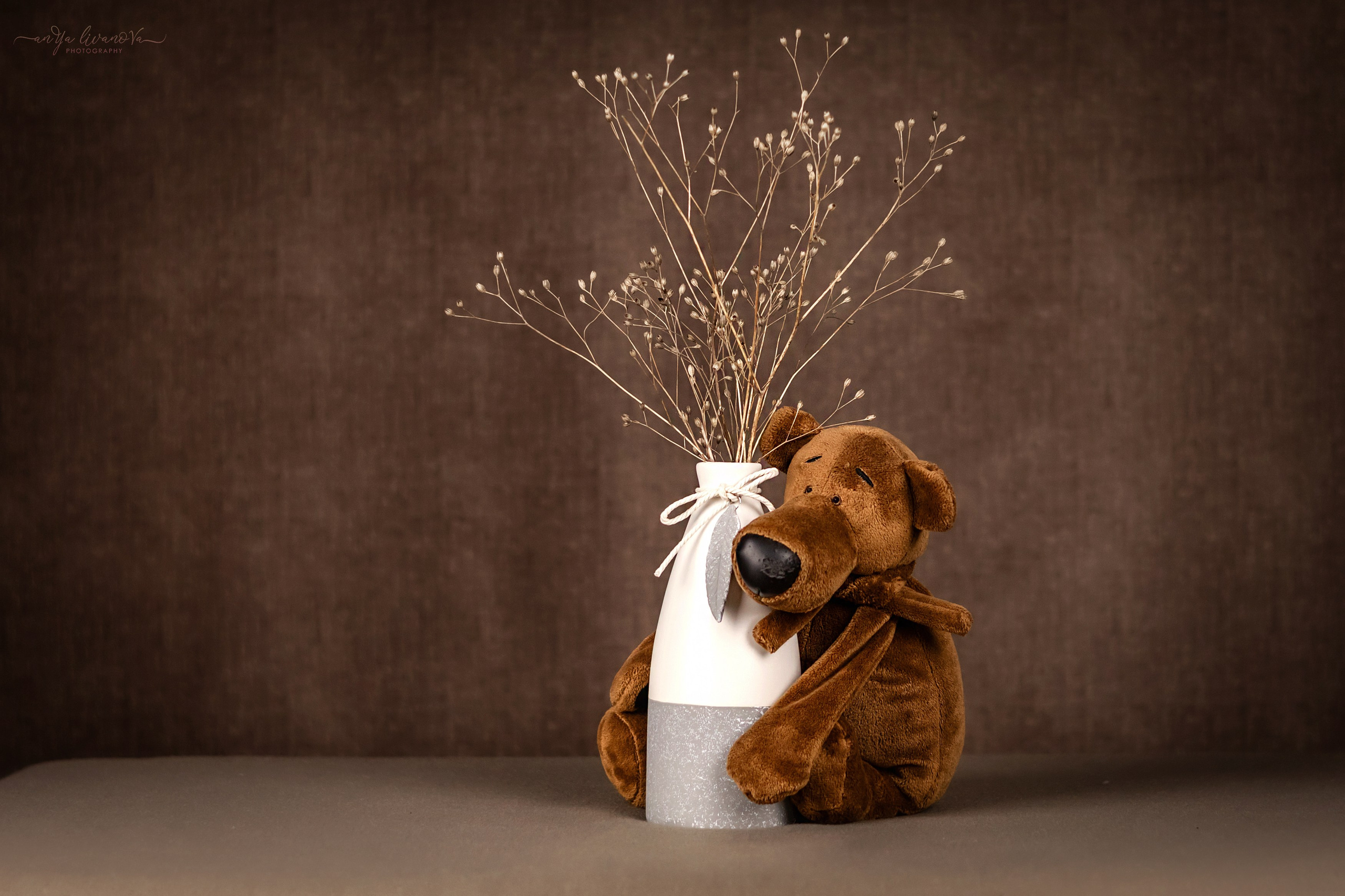 Коричневый фон. Фотограф анималист Аня Ливанова | Рыбинск