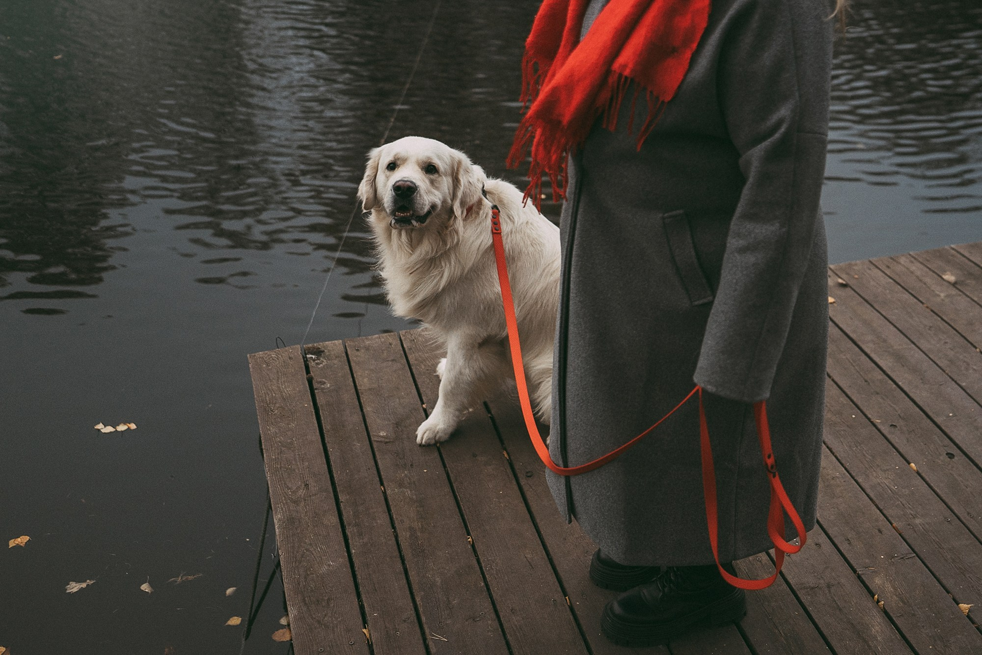 Лена и Мерлин. Фотограф анималист в Москве и Санкт-Петербурге Свиридова Анна