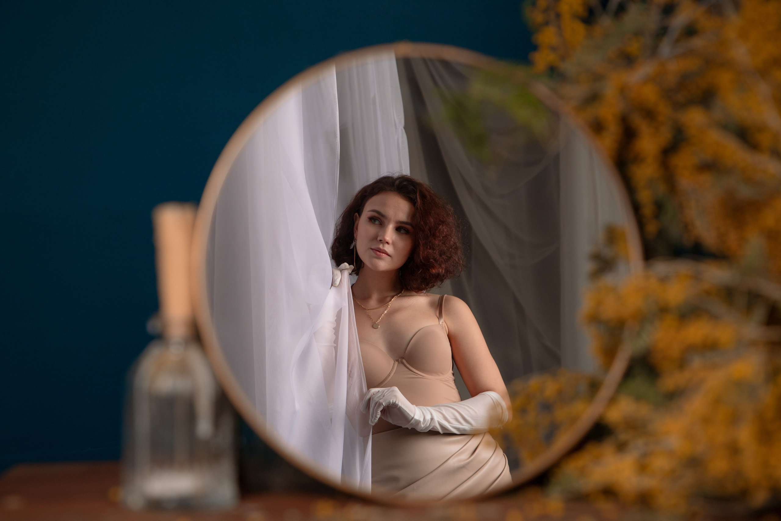 Мимозы. Фотограф Алексей Шуля — портфолио