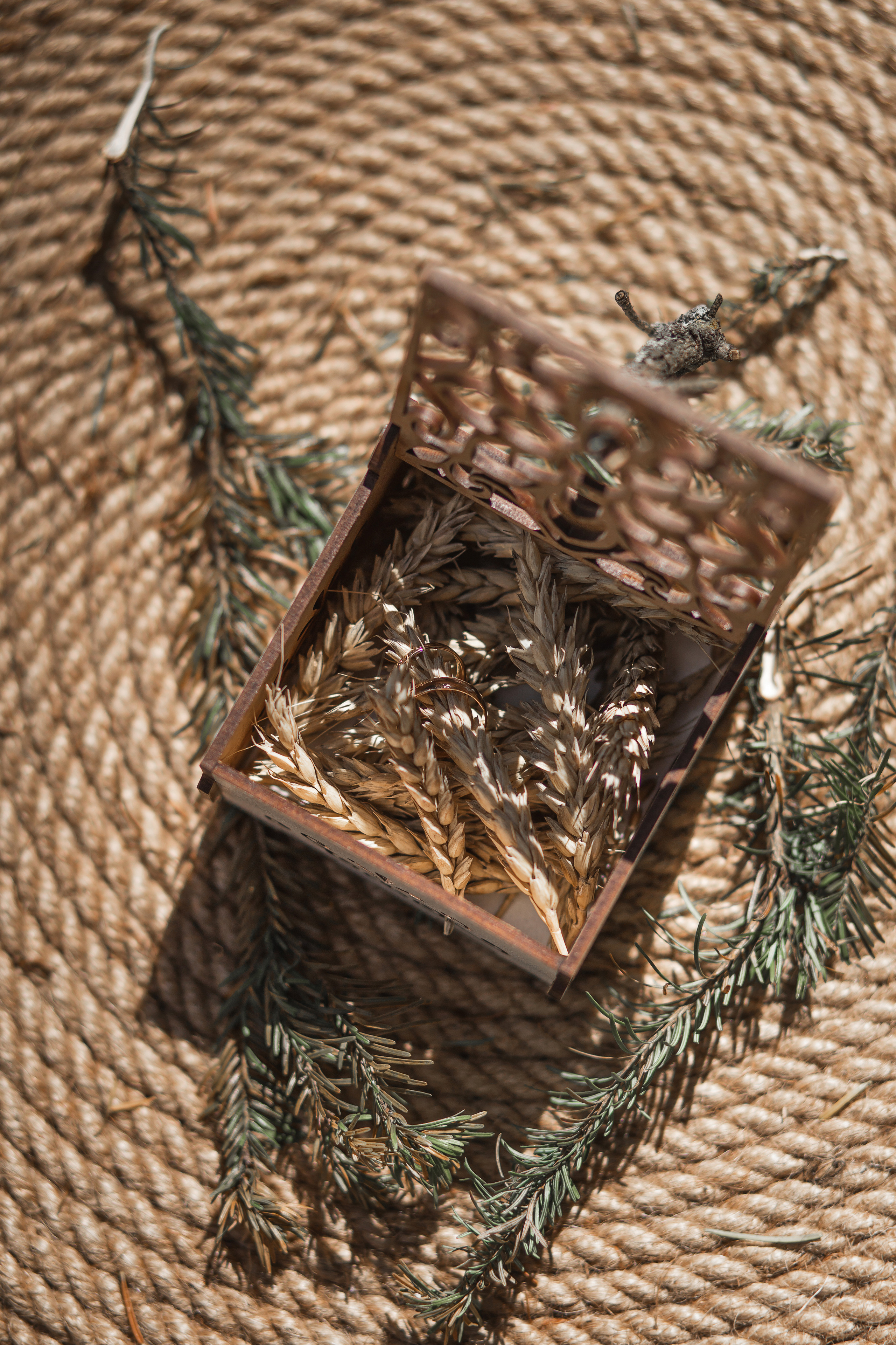 Фотограф Владимир Энджел