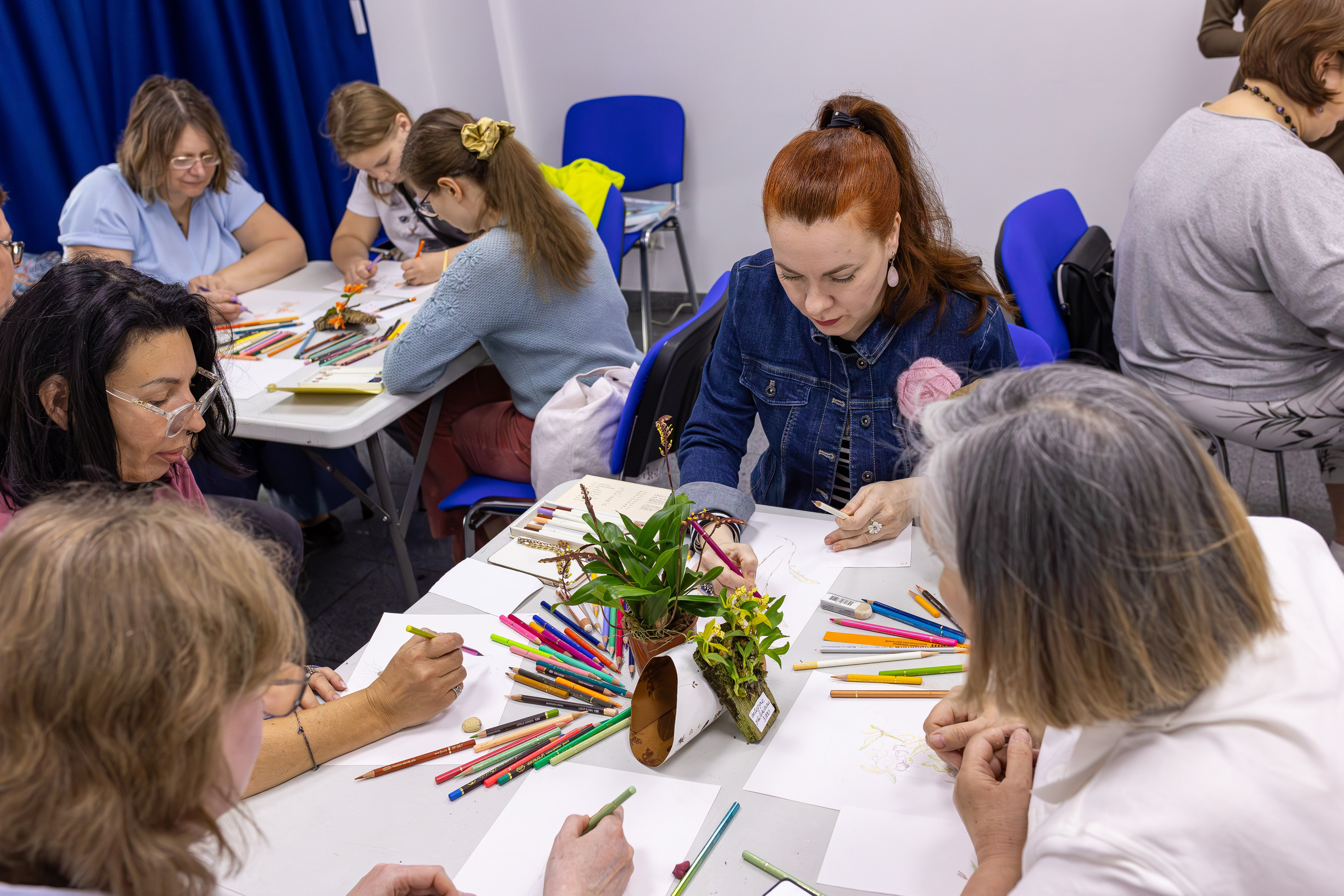 Орхидиум май 2025. Александра Куликова фотограф, Москва