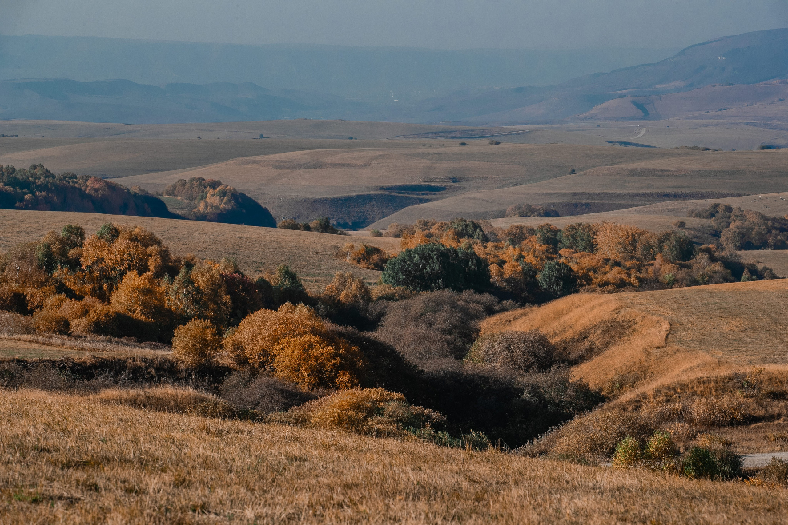 Фототуры в Карачаево-Черкессии 2019-2020. Фотограф-анималист Ксендзова Кристина