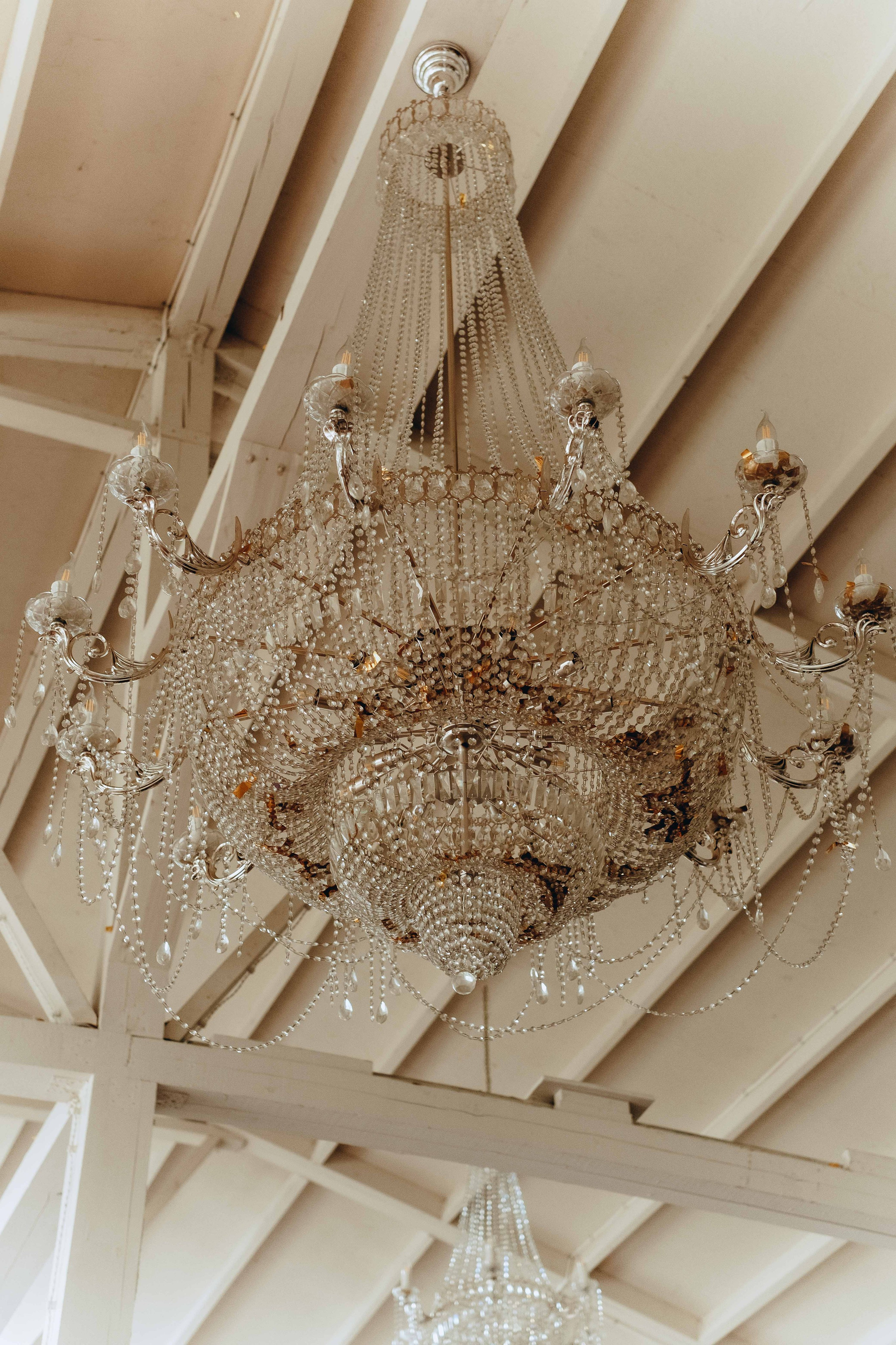 ECSTATIC WHITE 2025. Фотограф Аннё| Москва