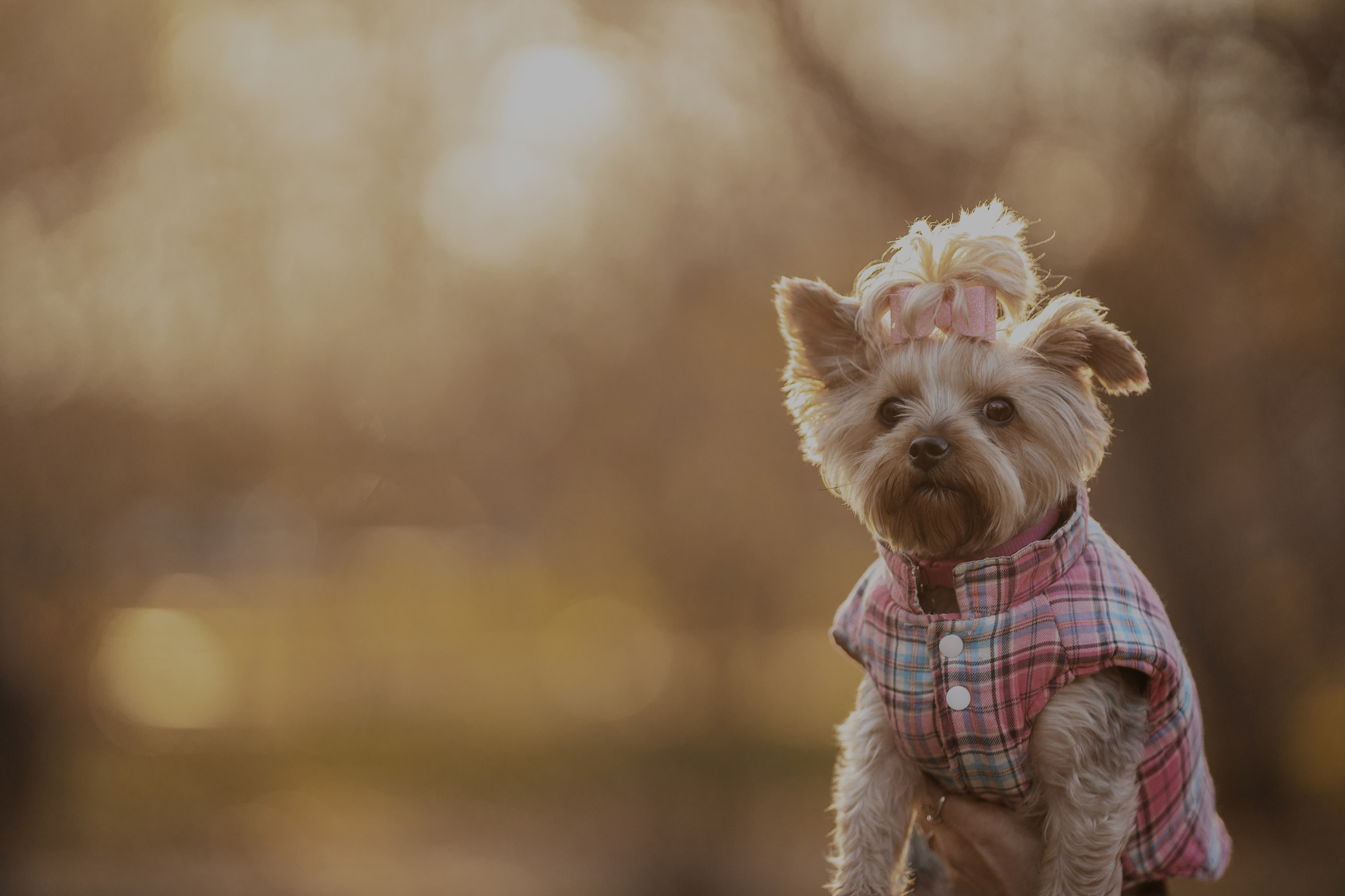 Мария + Роксана (история дружбы). Kameramotor74