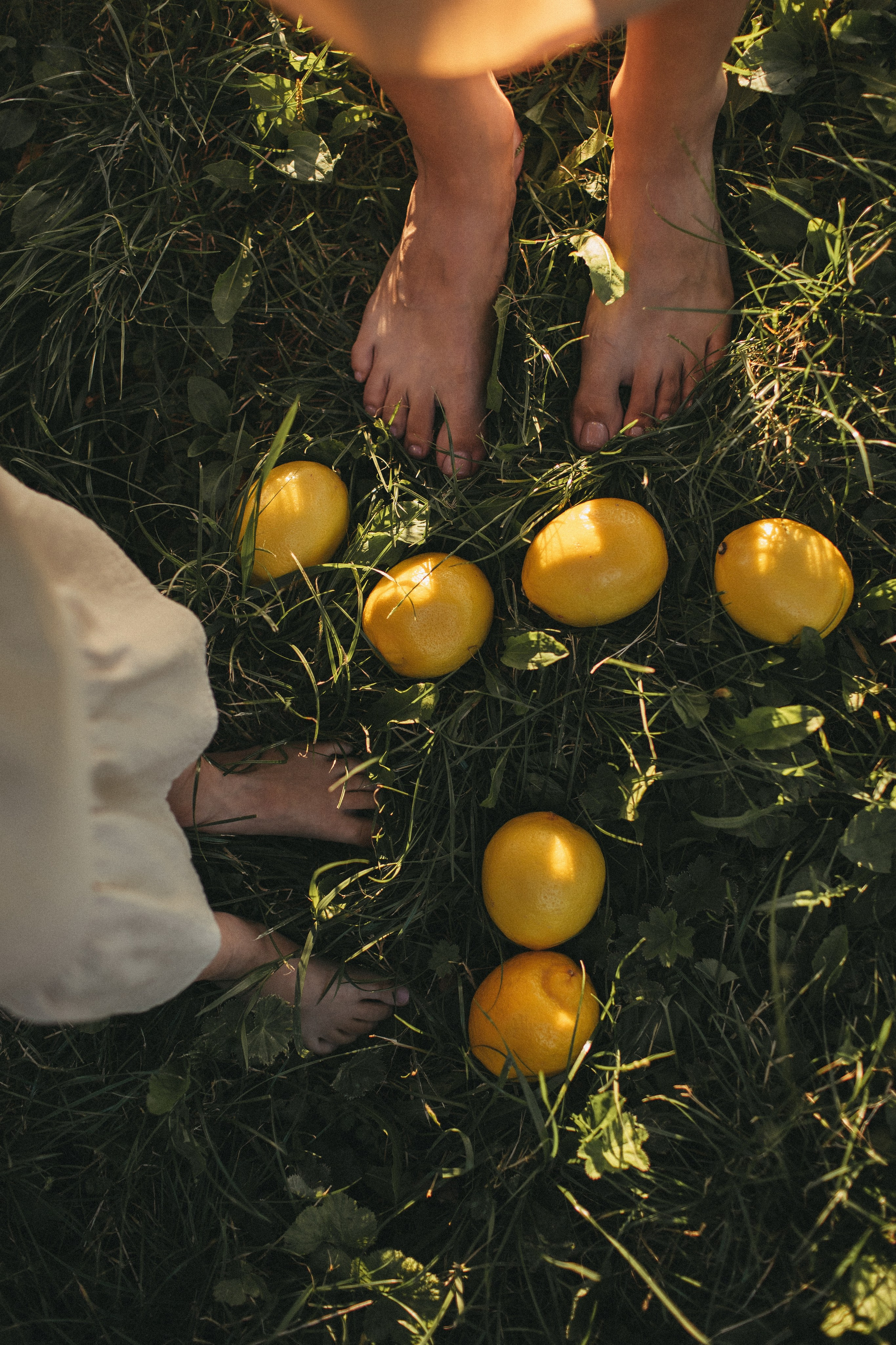 История с лимонами. Семейный фотограф в Москве