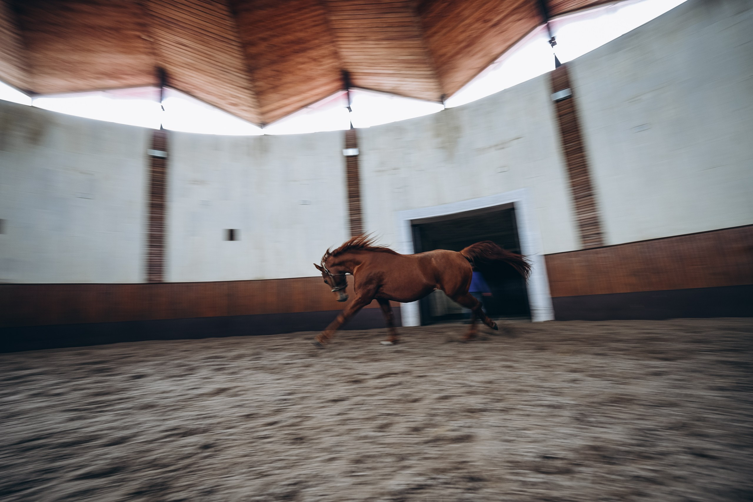 Travel. Николай Филиппов Event & Concert Photographer Москвf