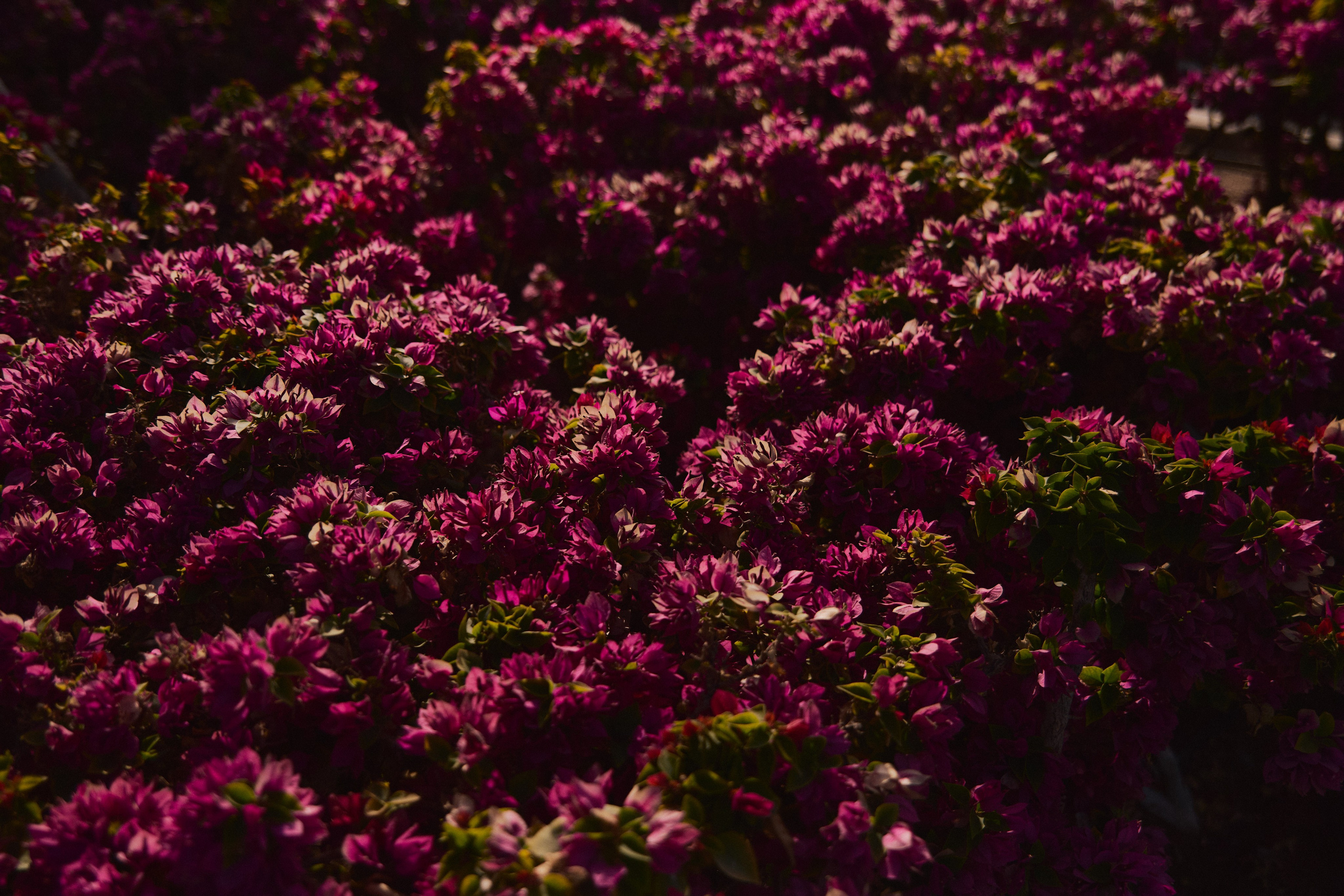 Улица горизонтальная. Jorgis — фотограф в Хургаде / обучение фотографии