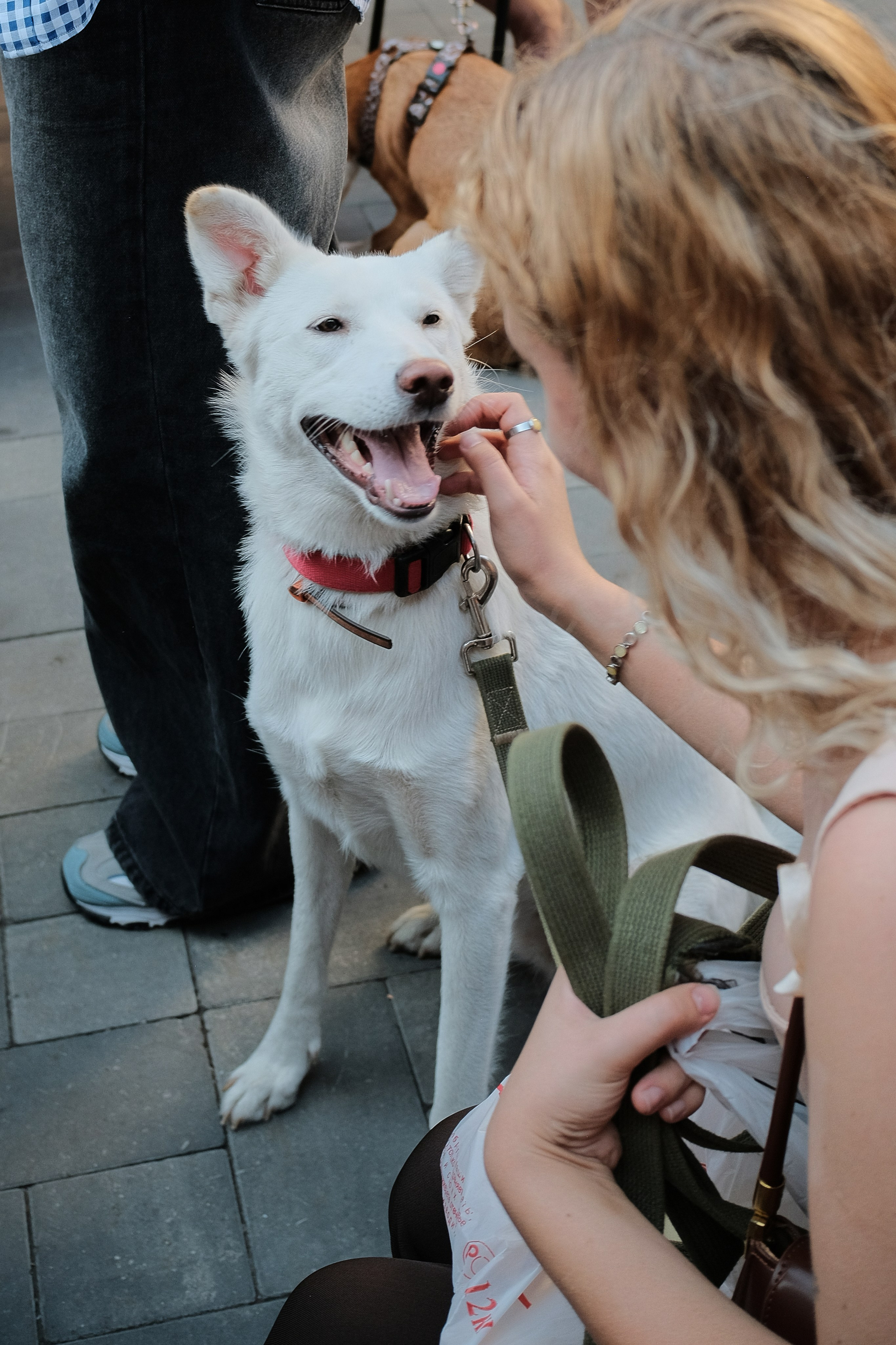 Rostov-on-Don. Creative travel photographer — Berg Daria