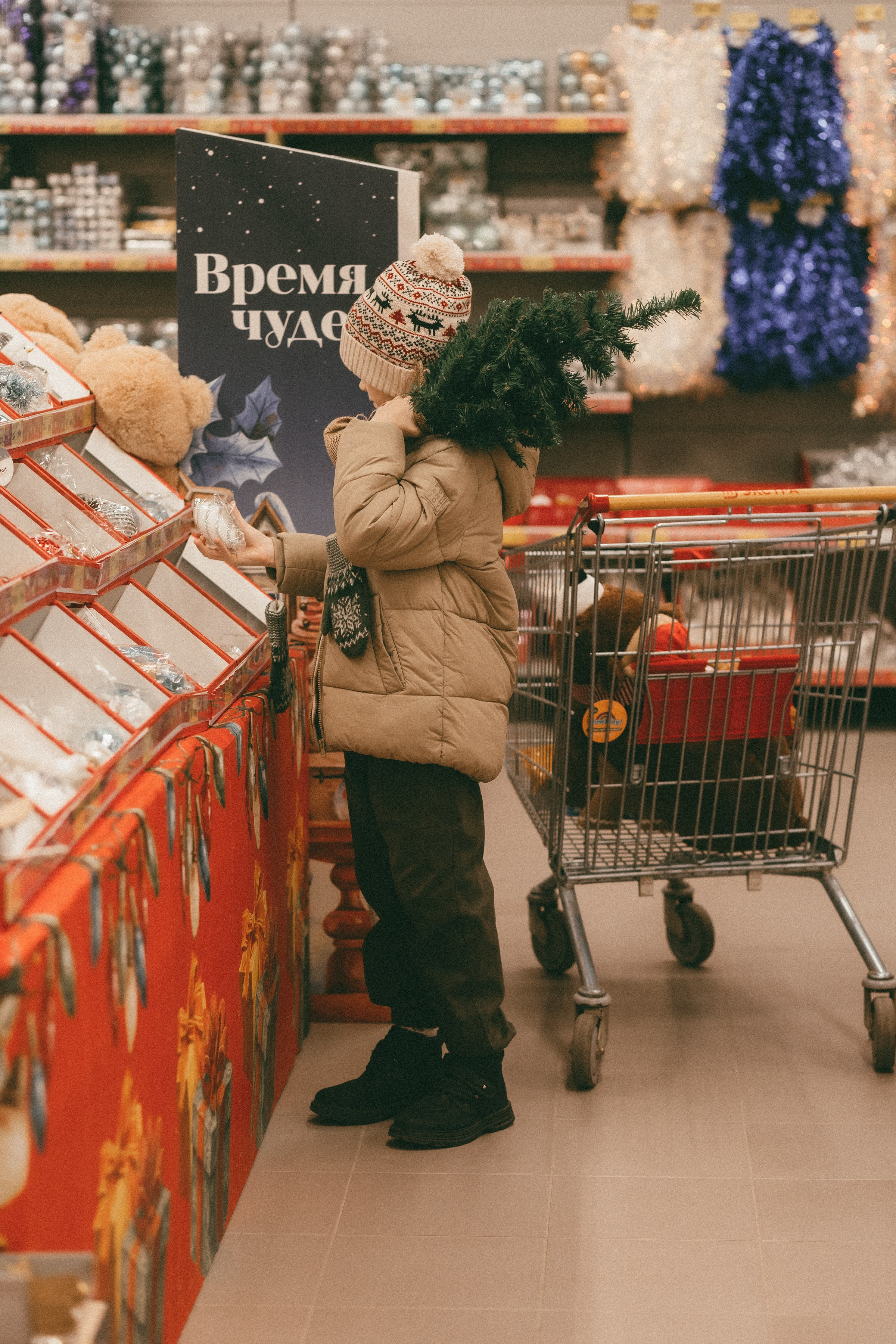 Макс. Семейный фотограф в Волгодонске Краченцева Анна