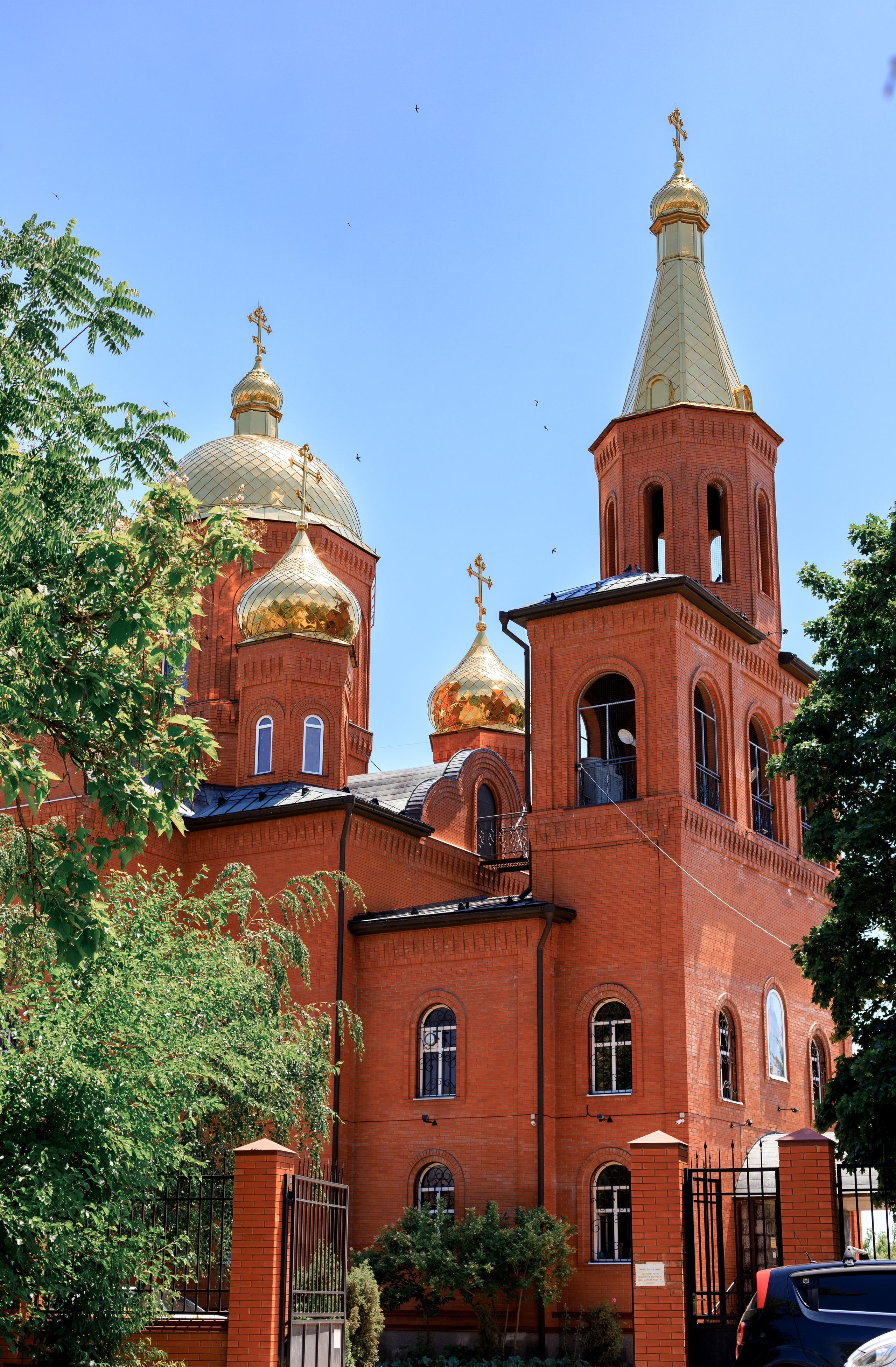 Артур. Семейный и детский фотограф в Краснодаре Ирина Лаврецкая