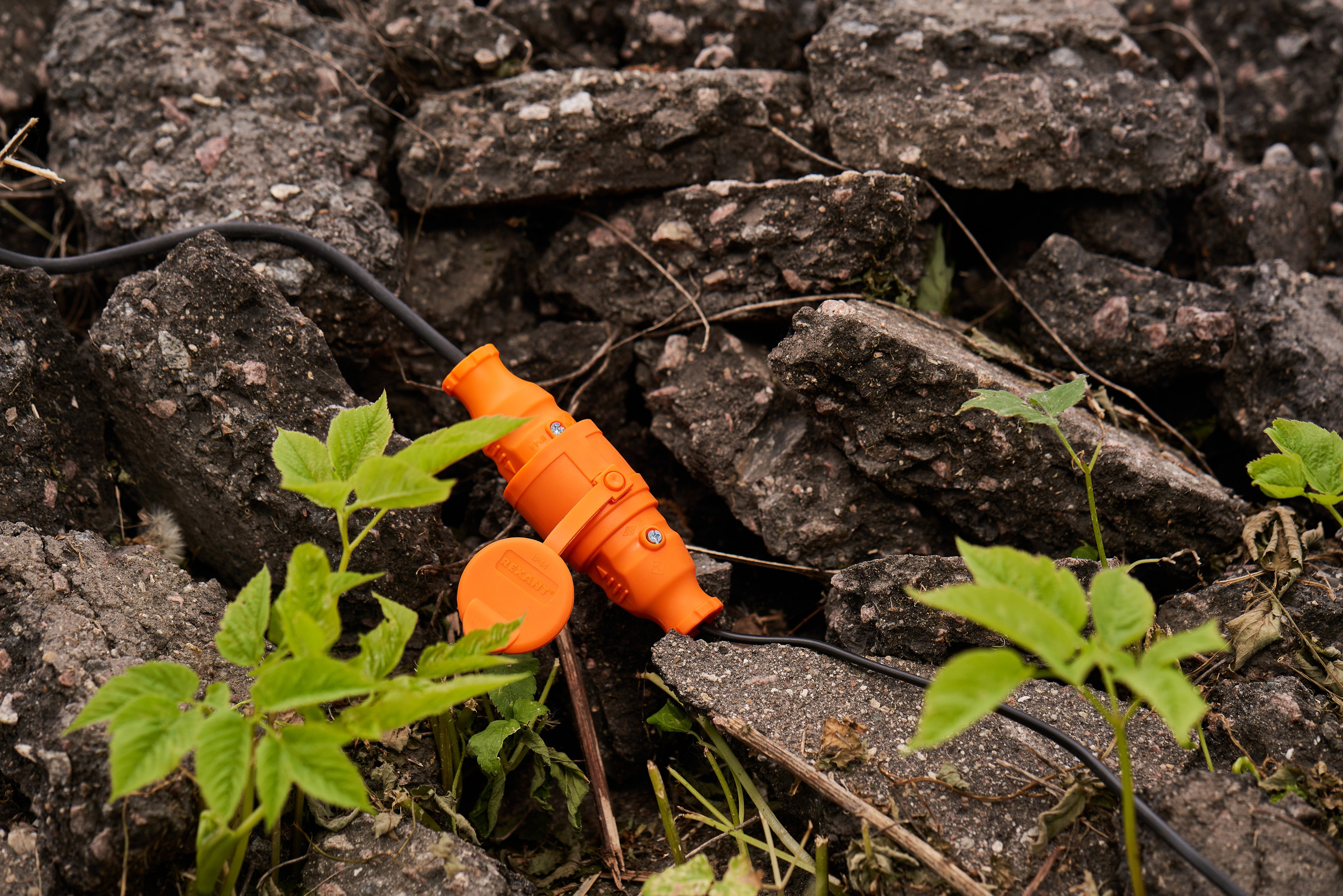 Фото. Kurochka.production фото и видео для бизнеса в Москве