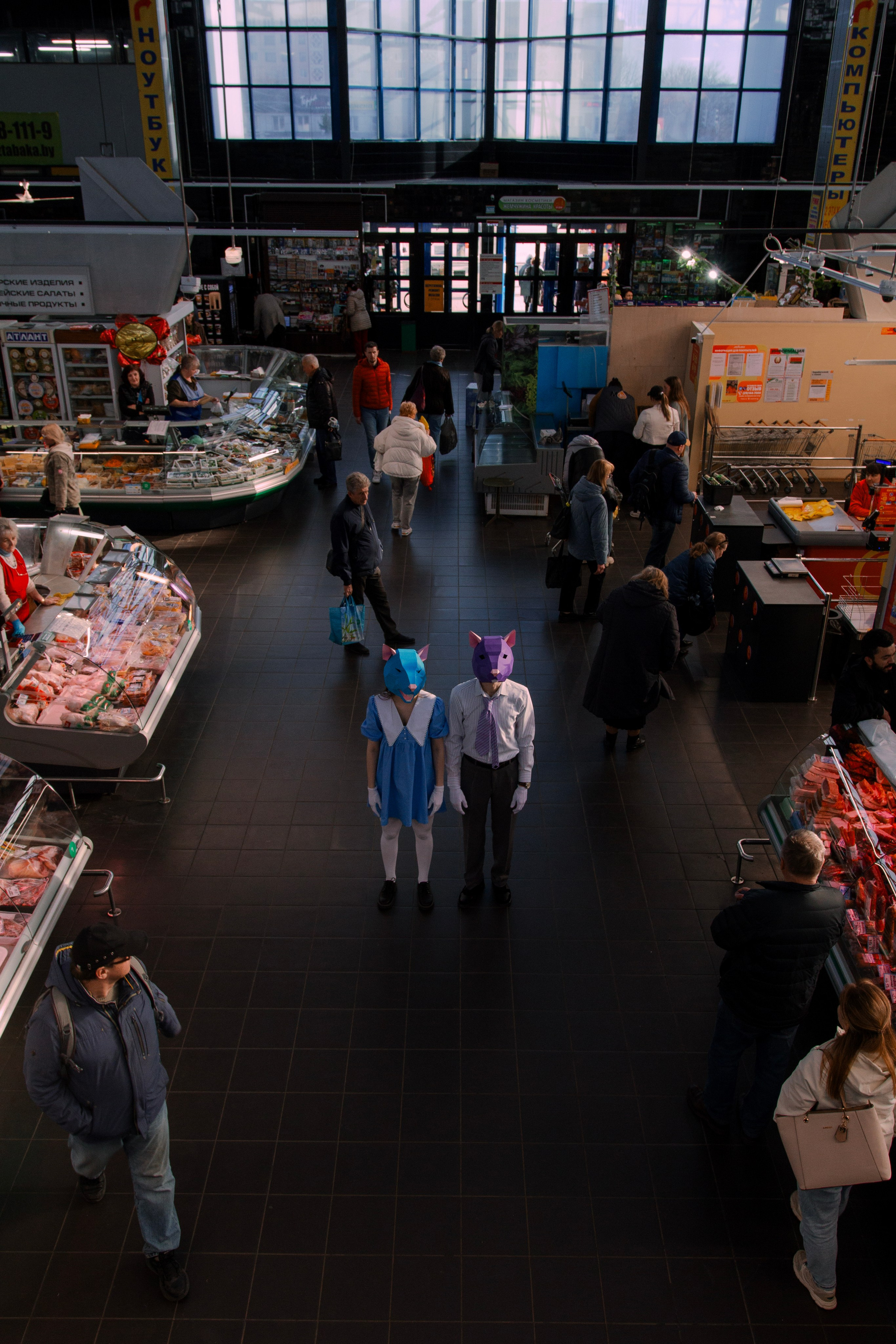 Красивая крысиная любовь