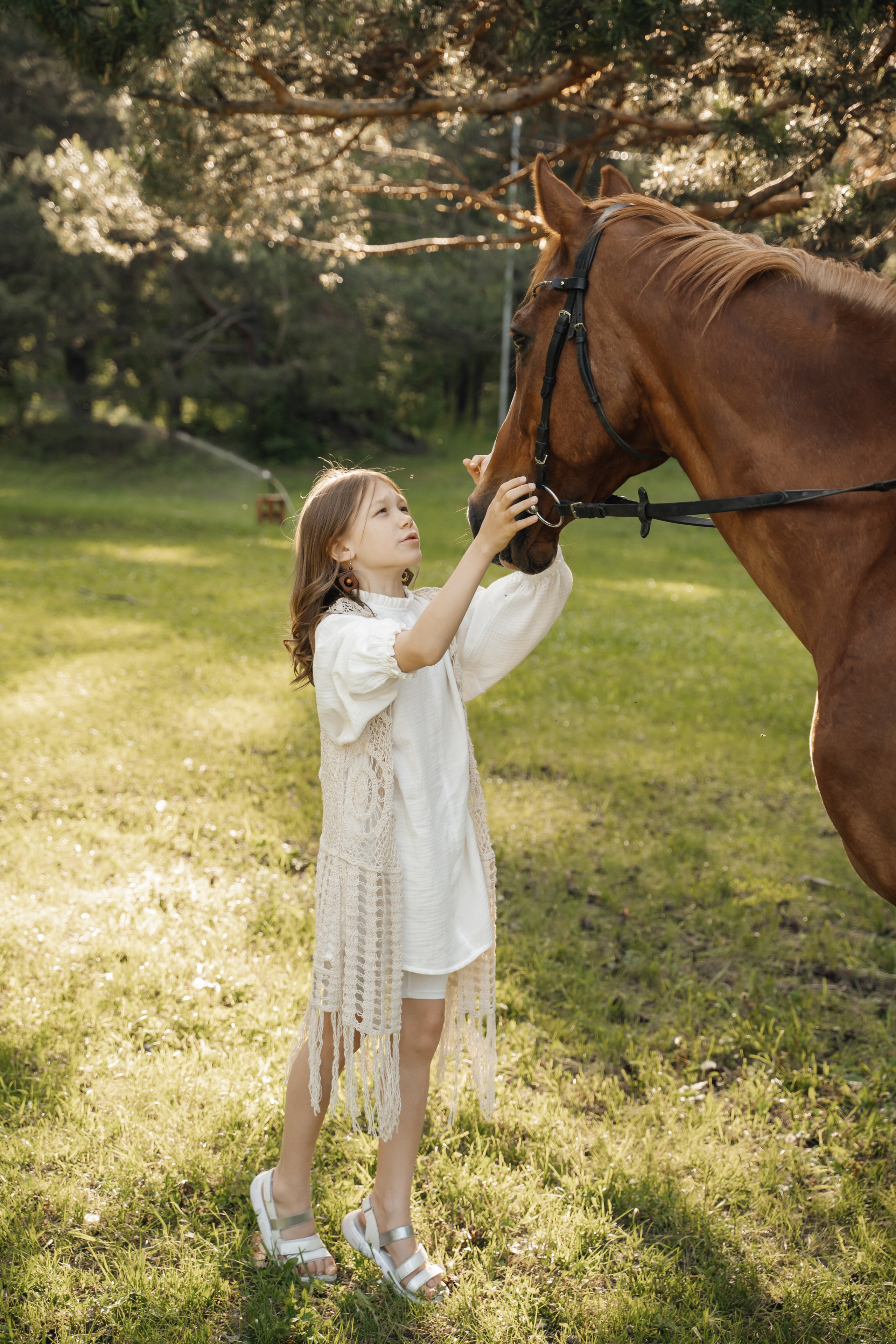 Семейная история с лошадьми. Главная