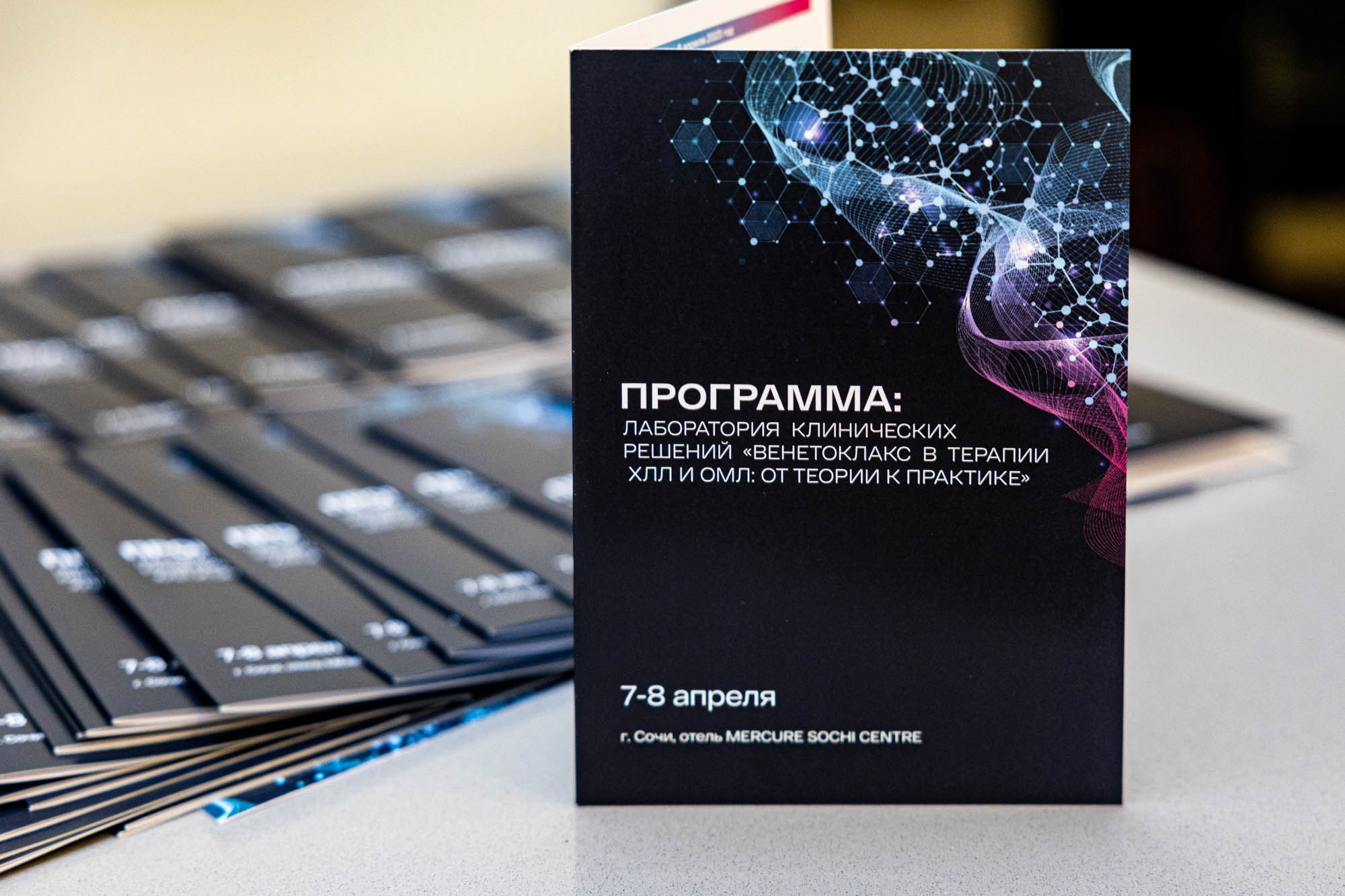 Конференции. Фотограф Красная Поляна — Сочи — Москва