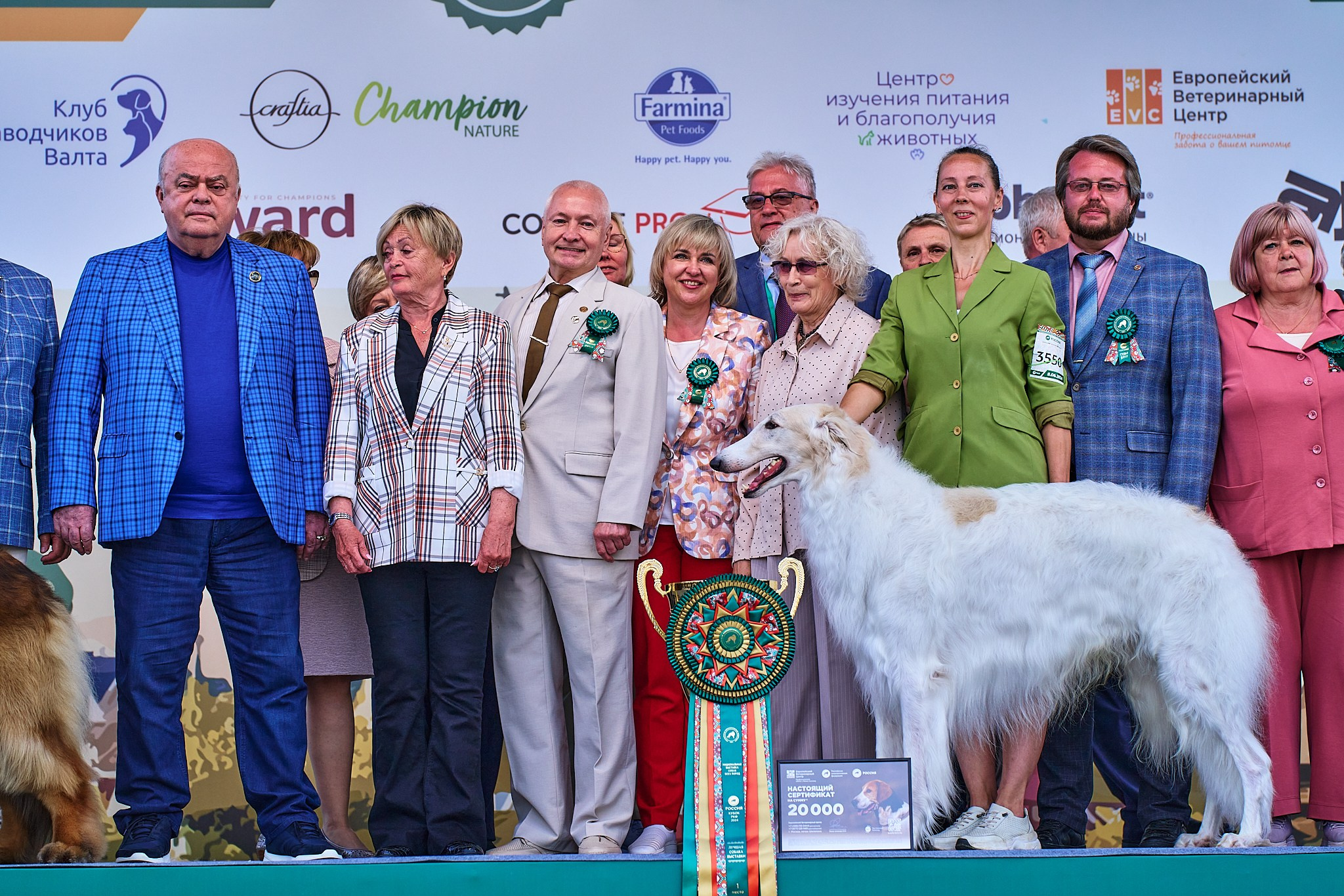 08.06.2024 «РОССИЯ. КУБОК РКФ 2024»